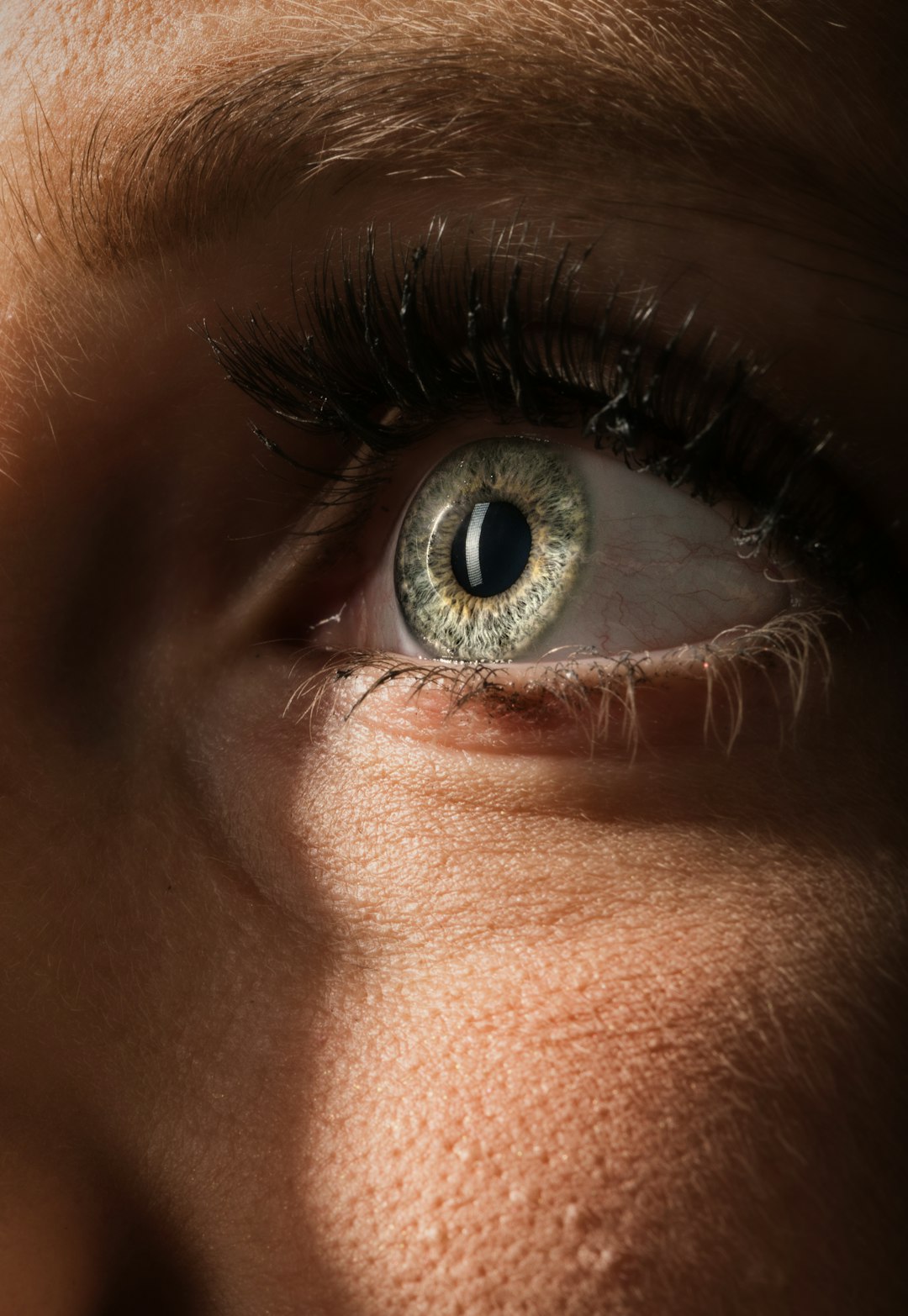 Photo by Venti Views persons eye in close up photography
