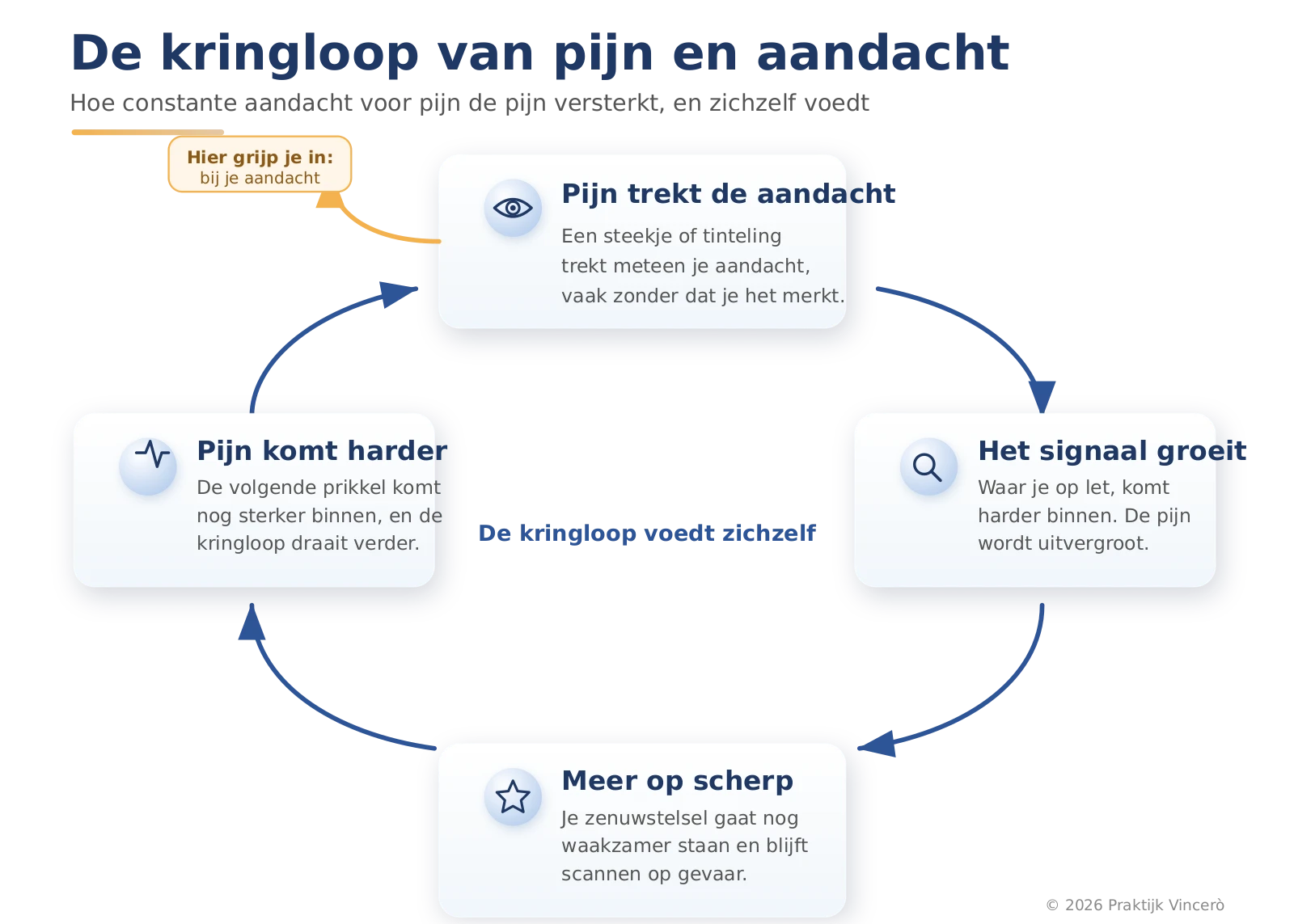 Kringloop die laat zien hoe constante aandacht voor pijn de pijn versterkt: pijn trekt de aandacht, aandacht vergroot het pijnsignaal, het zenuwstelsel staat meer op scherp, en daardoor komt de volgende pijn nog harder binnen.