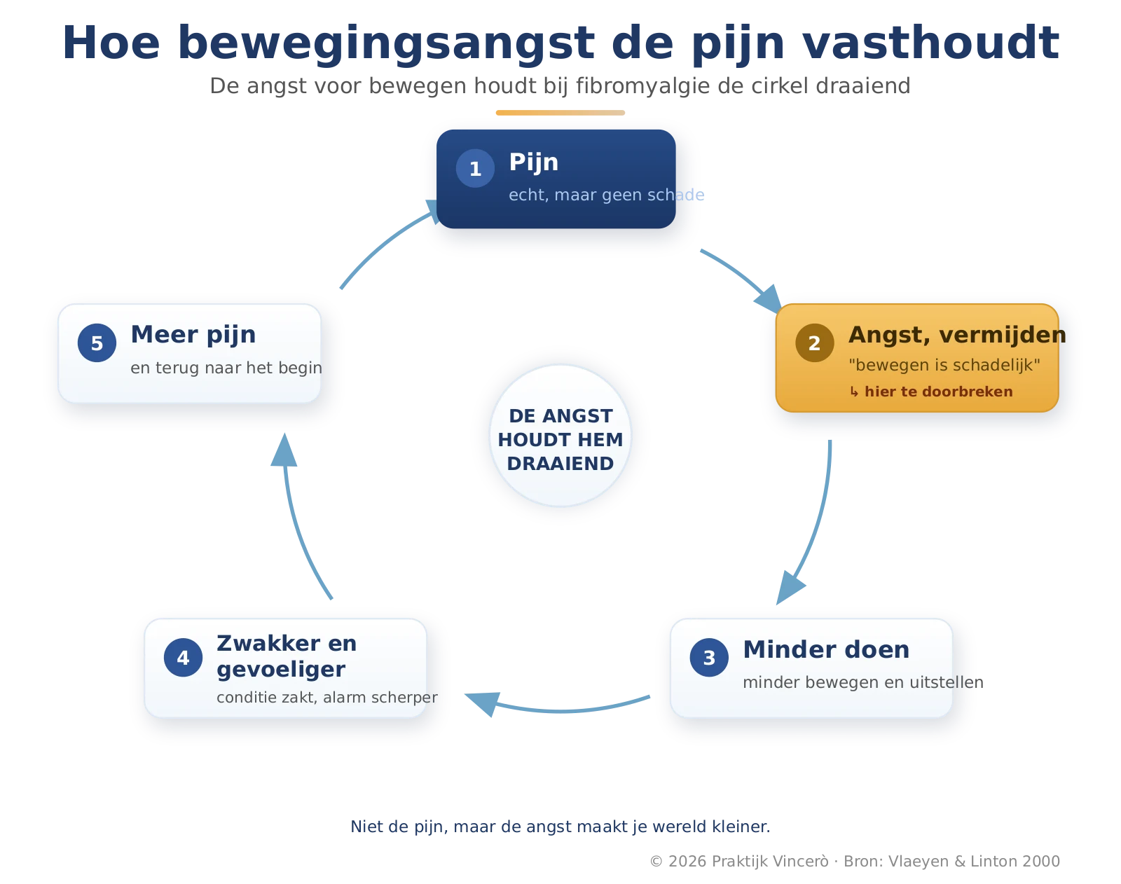 Hoe bewegingsangst de pijn vasthoudt: pijn leidt tot de gedachte dat bewegen schadelijk is, dat leidt tot vermijden, dat tot een zwakker en gevoeliger lichaam, en dat geeft weer meer pijn. Op het punt 'bewegen is veilig' is de cirkel te doorbreken.