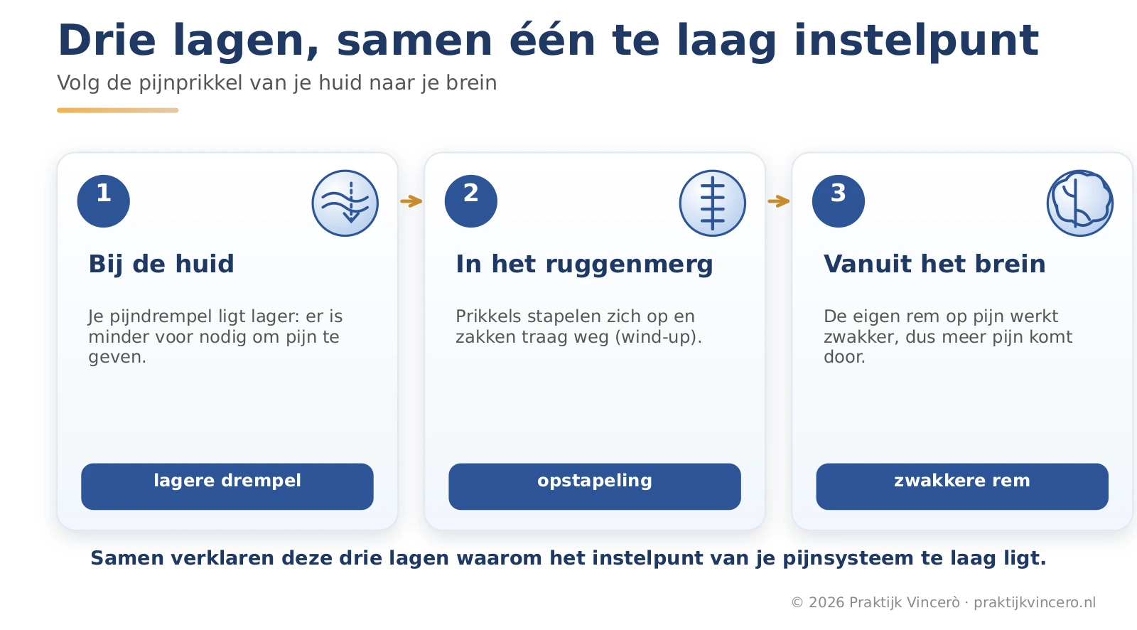 Procesinfographic met drie genummerde kaarten langs de route van de prikkel: bij de huid een lagere drempel, in het ruggenmerg opstapeling en vanuit het brein een zwakkere rem.
