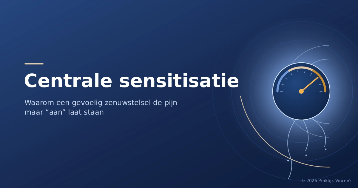 Donkere omslag met een thermostaat-wijzerplaat die net iets te laag staat afgesteld, met een fijn zenuwnetje eronder; passend bij centrale sensitisatie bij fibromyalgie.