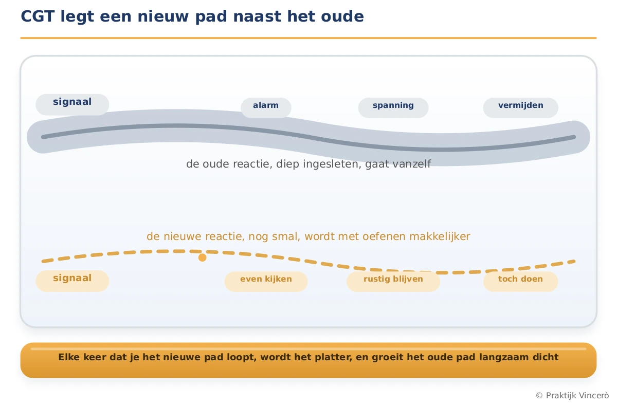 Twee sporen naast elkaar: boven een breed, diep ingesleten oud spoor (signaal, alarm, spanning, vermijden) en daaronder een nog smal nieuw spoor (signaal, even kijken, rustig blijven, toch doen) dat met oefenen makkelijker wordt.