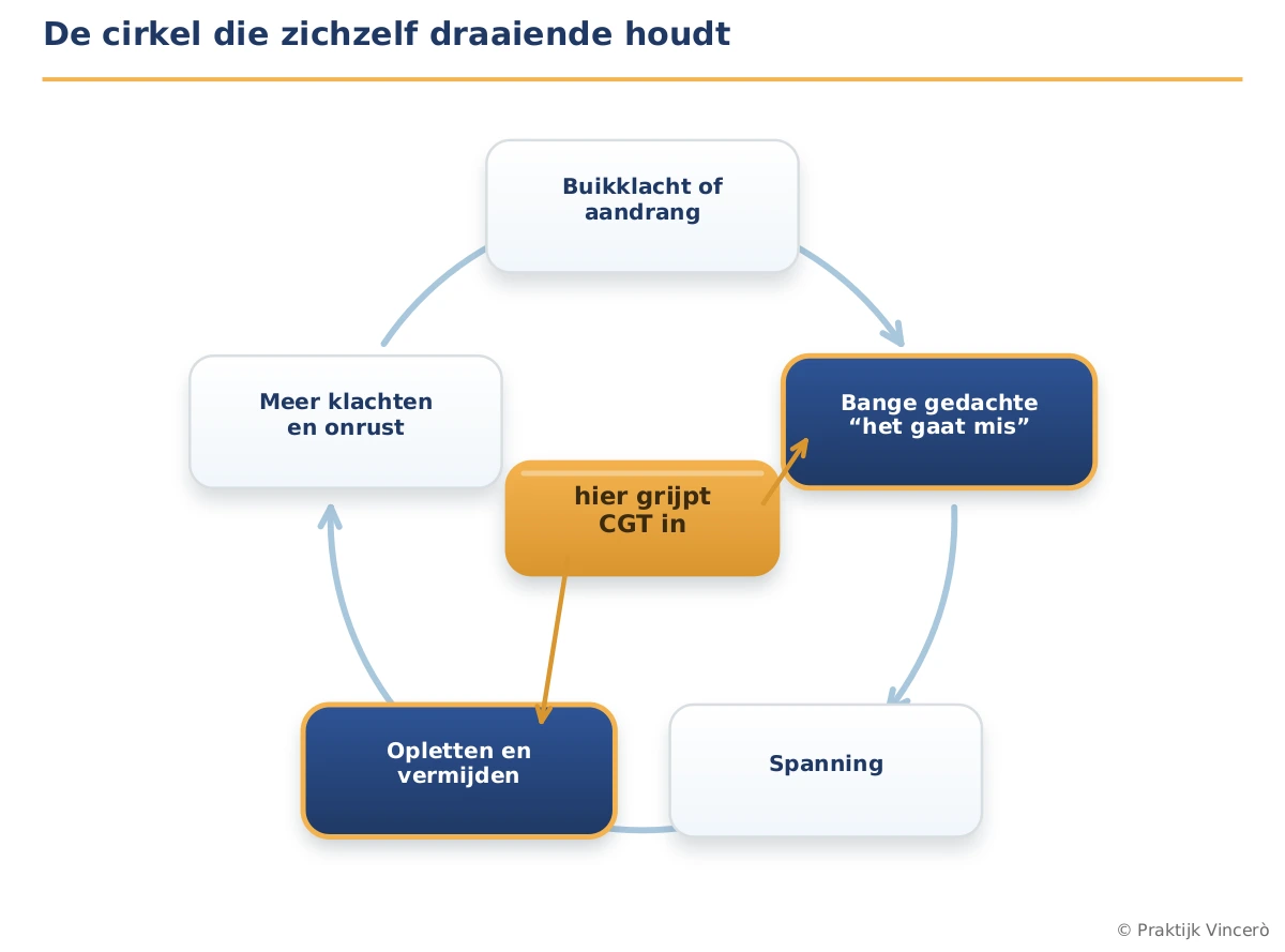Gesloten cirkel van vijf stappen bij PDS - buikklacht, bange gedachte, spanning, opletten en vermijden, meer klachten - waarbij CGT op twee plekken ingrijpt: bij de gedachte en bij het vermijden.
