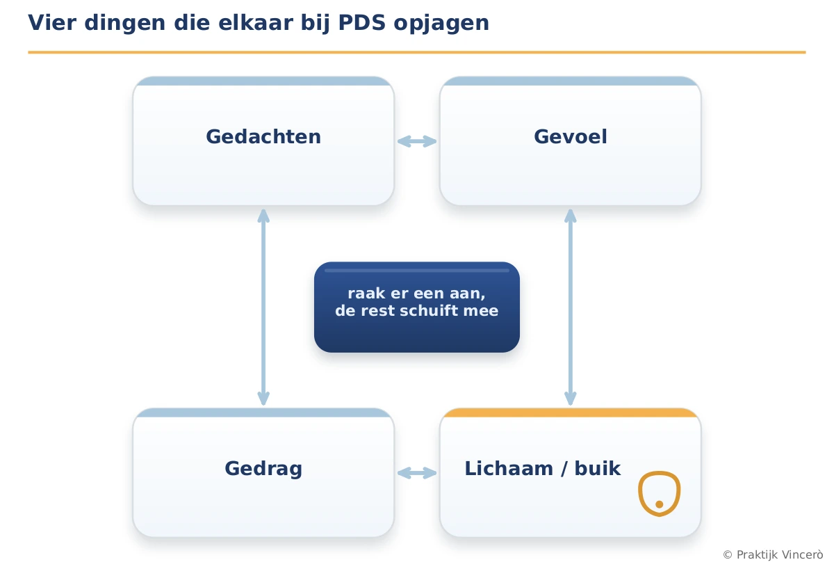 Diagram met vier verbonden vakken - gedachten, gevoel, gedrag en lichaam/buik - die bij PDS met pijlen in beide richtingen op elkaar inwerken; in het midden de tekst raak er een aan, de rest schuift mee.
