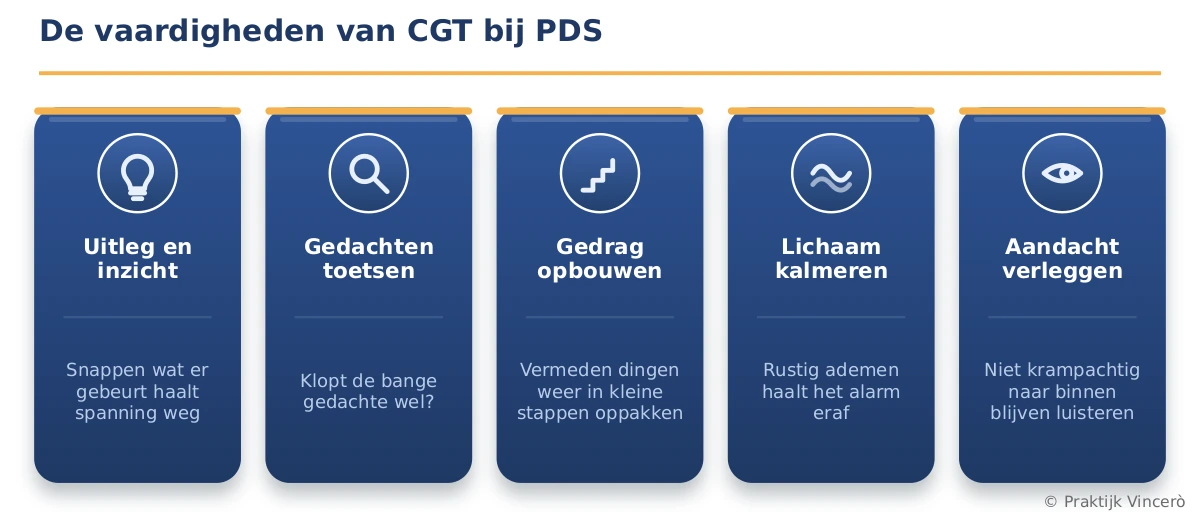 Vijf kaarten met de vaardigheden van CGT bij PDS: uitleg en inzicht, gedachten toetsen, gedrag opbouwen, lichaam kalmeren en aandacht verleggen, elk met een eigen icoon.