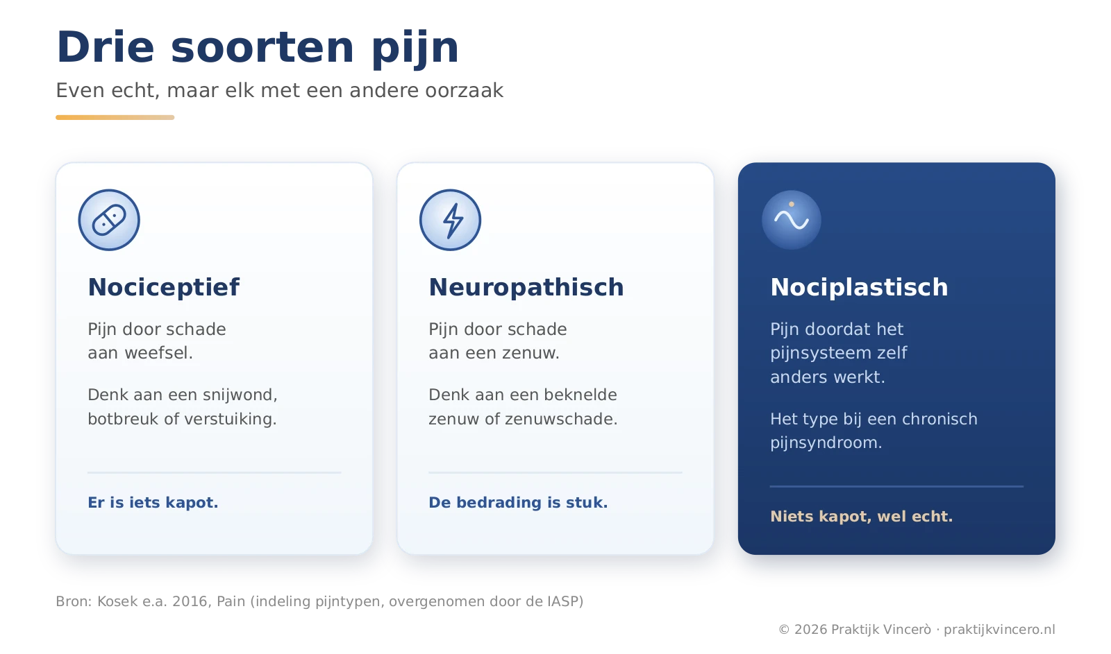 Schema dat de drie soorten pijn naast elkaar zet: nociceptieve pijn door weefselschade, neuropathische pijn door zenuwschade en nociplastische pijn doordat het pijnsysteem zelf anders werkt, zonder dat er iets kapot is.