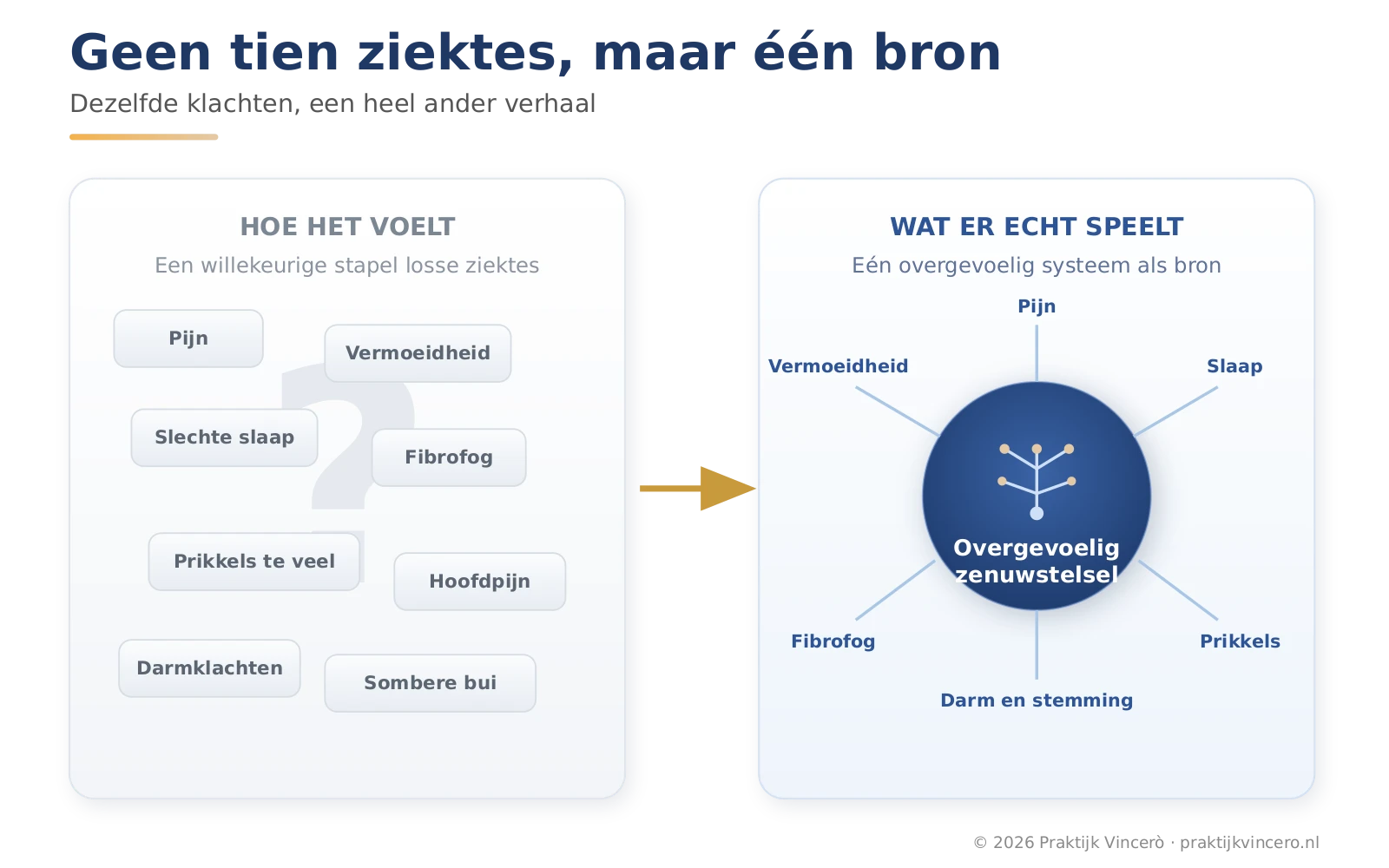 Vergelijking van twee beelden: links tien losse blokjes als aparte ziektes met een vraagteken, rechts één centrale bron, een overgevoelig zenuwstelsel, waar de klachten samen uit voortkomen