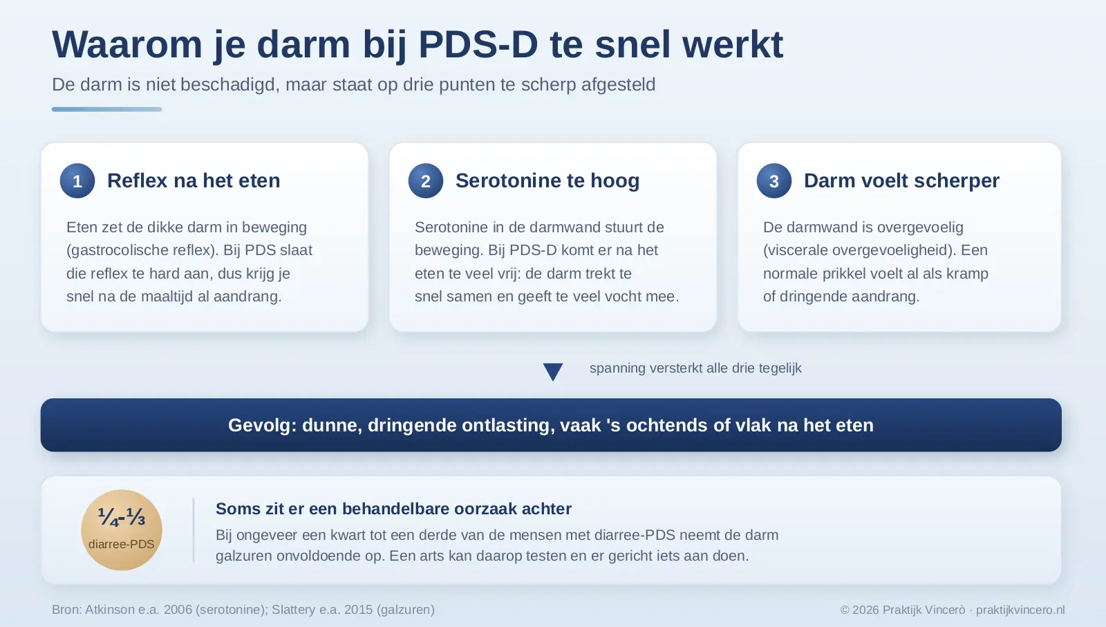 Schema van waarom de darm bij PDS-D te snel werkt: eten versterkt de darmreflex, serotonine komt te hoog uit waardoor de darm te snel samentrekt, en de overgevoelige darmwand voelt gewone prikkels al als aandrang, met dunne en dringende ontlasting als gevolg