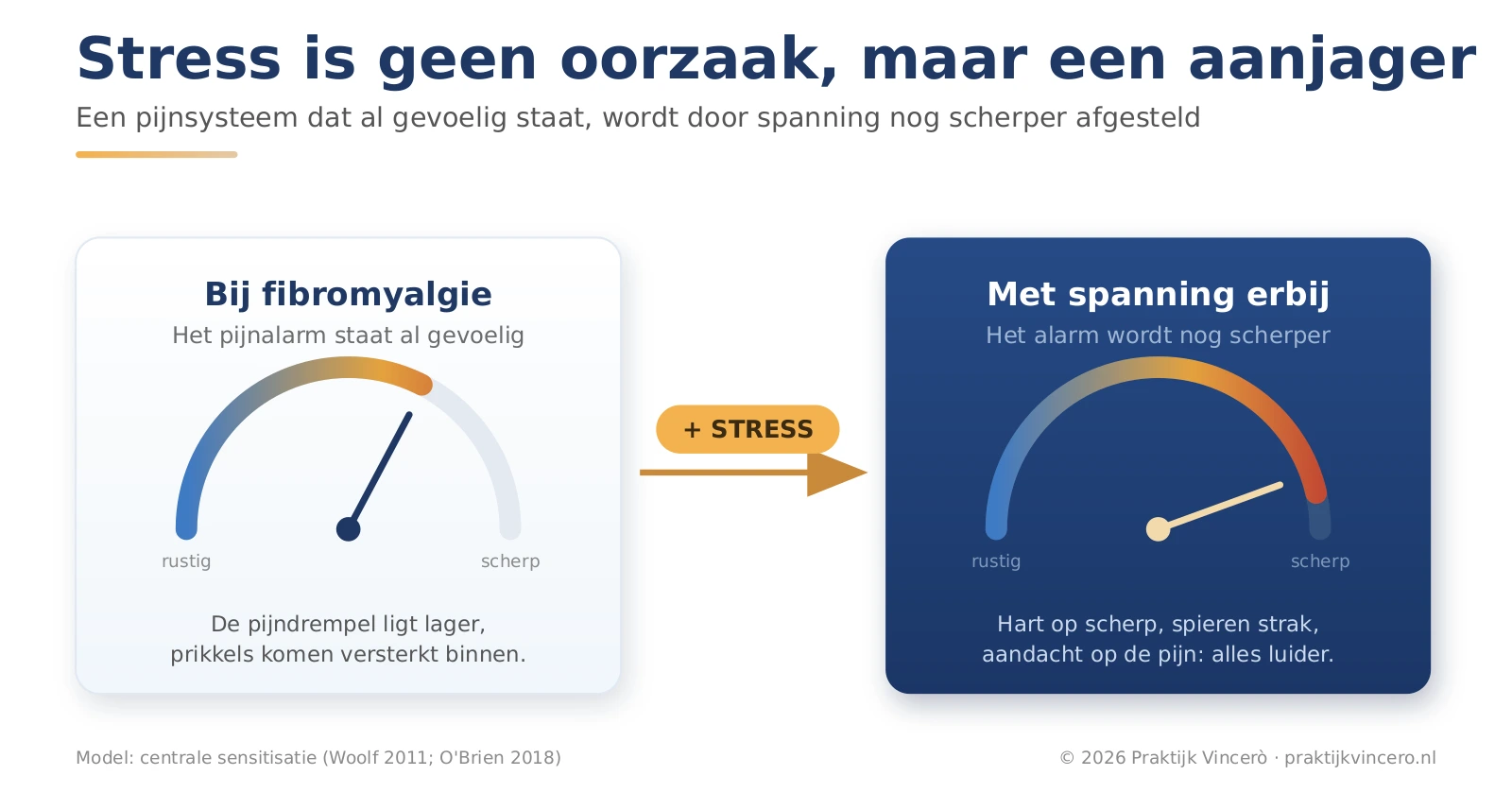 Schema dat laat zien hoe stress bovenop een al overgevoelig pijnsysteem komt: links staat het pijnalarm al gevoelig, rechts draait spanning het alarm nog verder op; navy met gouden accent