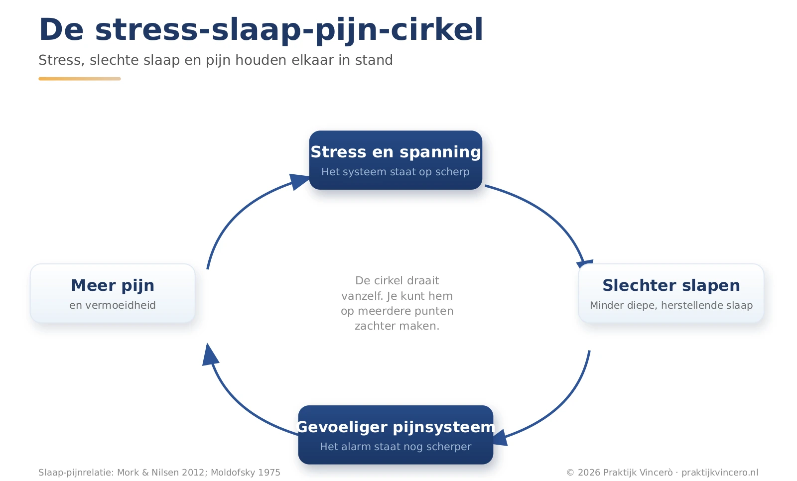 Kringloopschema: stress en spanning leidt tot slechter slapen, dat maakt het pijnsysteem gevoeliger, dat geeft meer pijn en vermoeidheid en dat voedt weer de stress. Vier verbonden knooppunten in een ronde vorm; navy met gouden accent