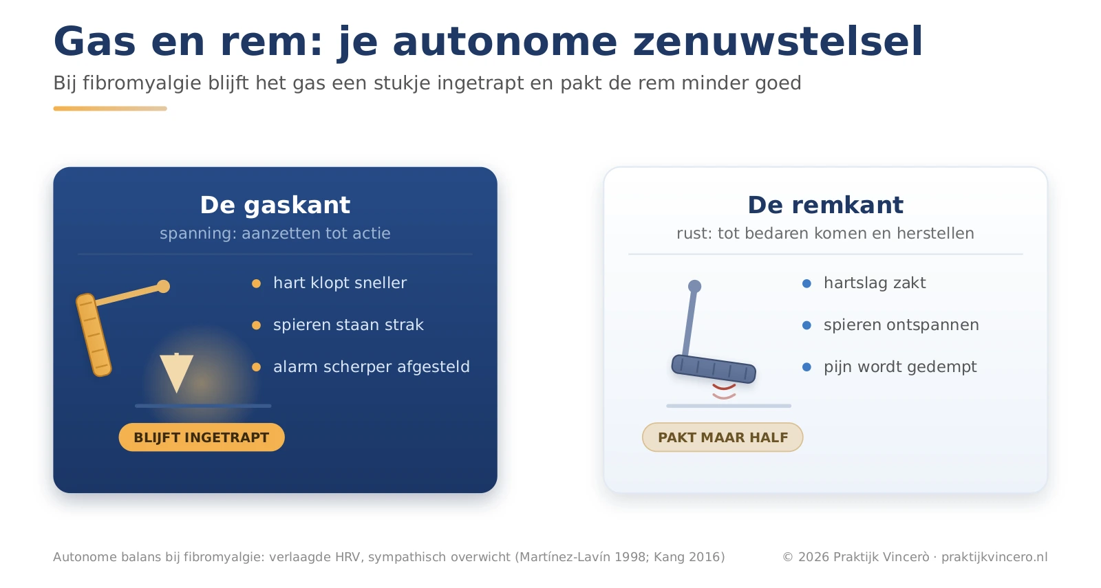 Schema van gas en rem als beeld voor het autonome zenuwstelsel: links de gaskant (spanning, hart sneller, spieren strak), rechts de remkant (rust, herstel). Bij fibromyalgie blijft het gas ingetrapt en pakt de rem maar half; navy met gouden accent
