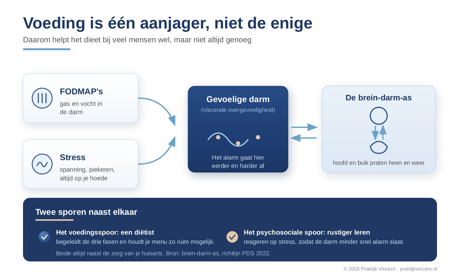 Voeding is één aanjager van PDS naast stress: FODMAP's en spanning komen samen bij een gevoelige darm, die via de brein-darm-as met je hoofd in verbinding staat; het voedingsspoor loopt bij de diëtist, het psychosociale spoor bij de behandelaar