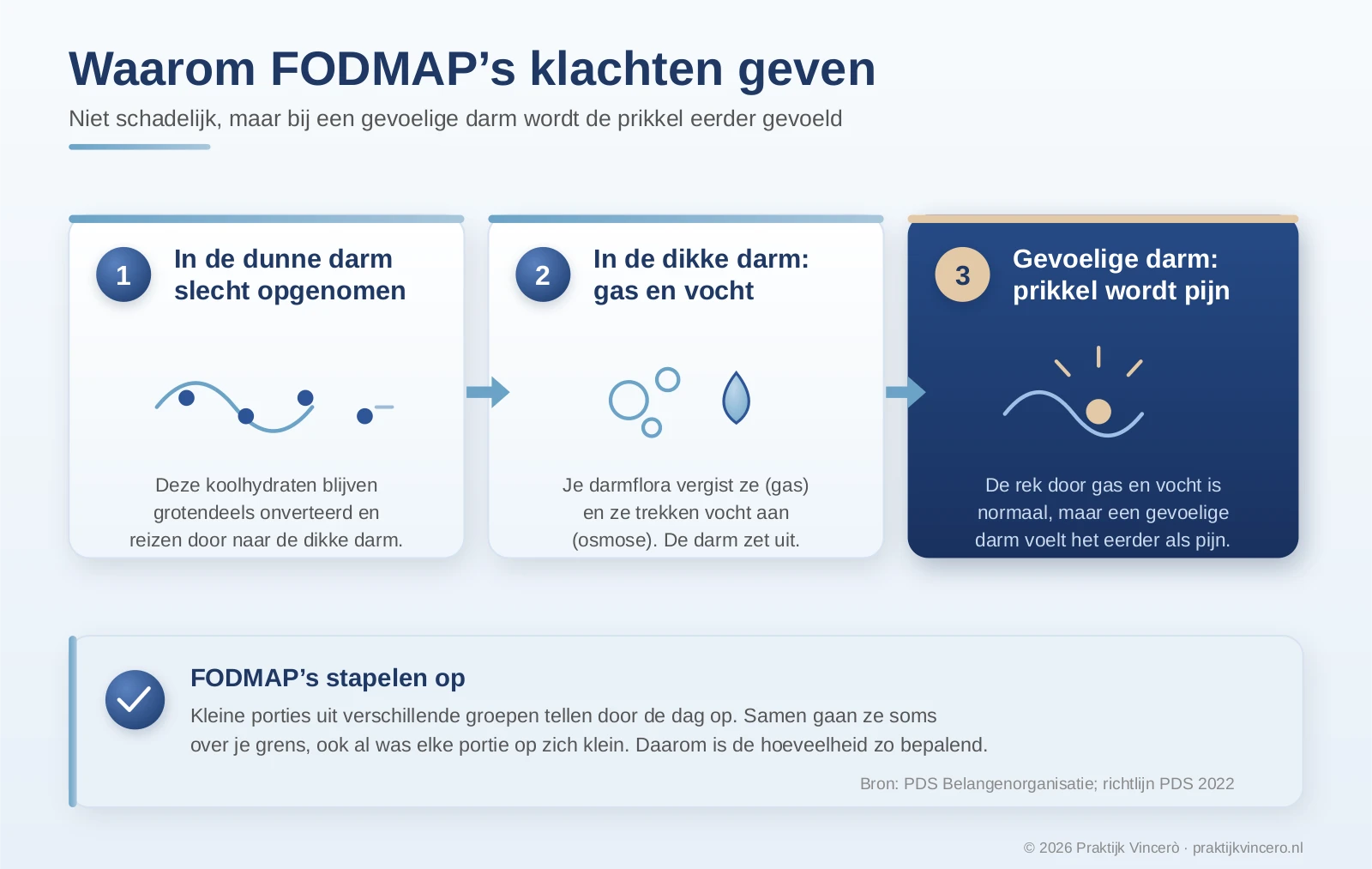 Schema in drie stappen waarom FODMAP's bij PDS klachten geven: in de dunne darm worden ze slecht opgenomen, in de dikke darm vergist je darmflora ze tot gas en trekken ze via osmose vocht aan, en bij een gevoelige darm wordt die normale rek eerder als pijn gevoeld; met onderaan de uitleg dat FODMAP's bij elkaar optellen