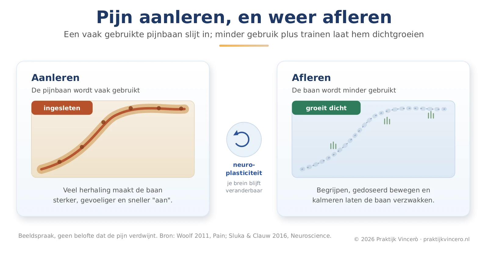 Schema dat laat zien hoe een vaak gebruikte pijnbaan sterker en ingesleten raakt en hoe minder gebruik plus gericht trainen die baan juist weer laat verzwakken.