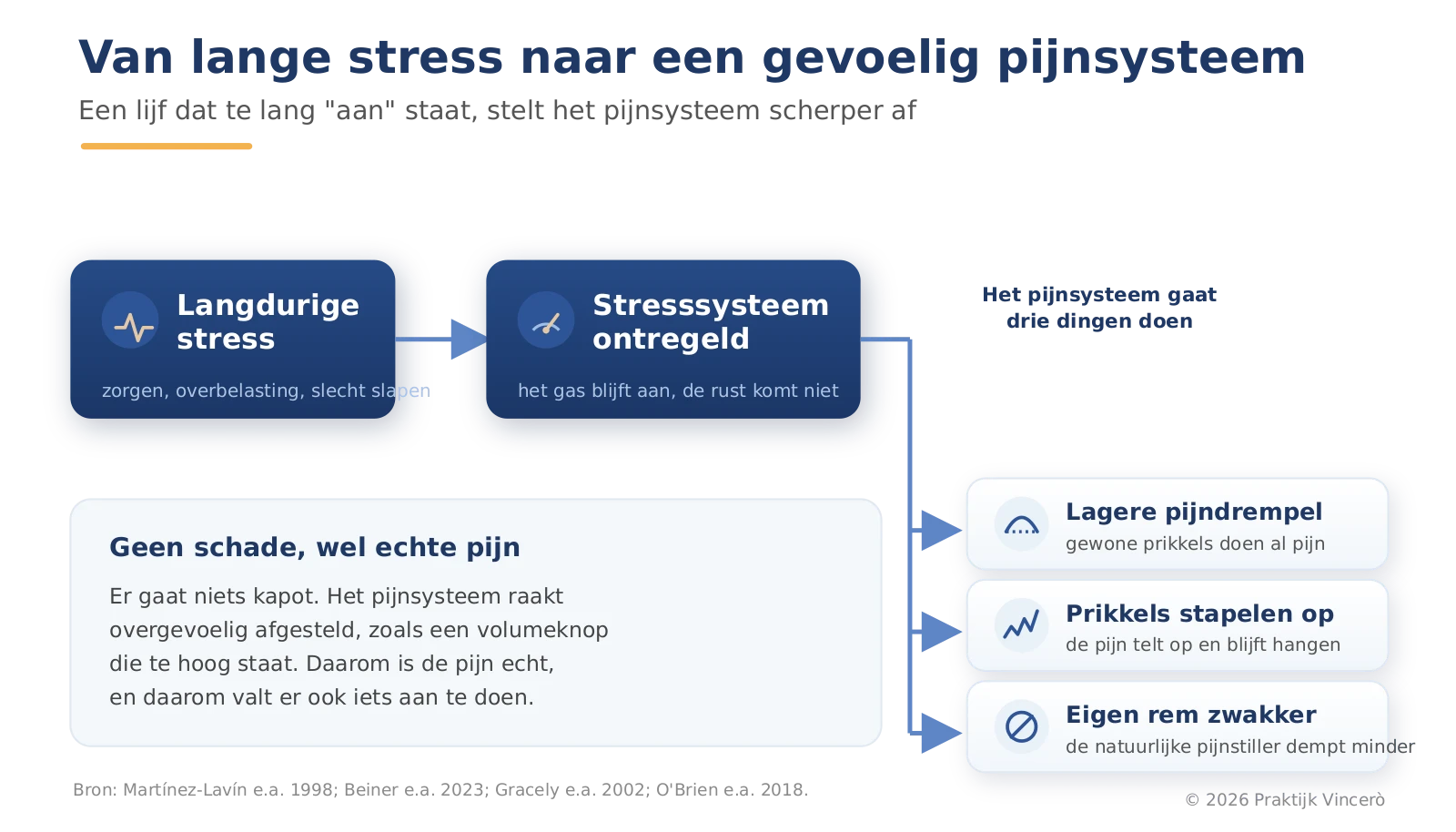 Schema van de keten waarin langdurige stress het stresssysteem ontregelt en daardoor de pijndrempel verlaagt, prikkels laat opstapelen en de eigen pijnrem verzwakt.