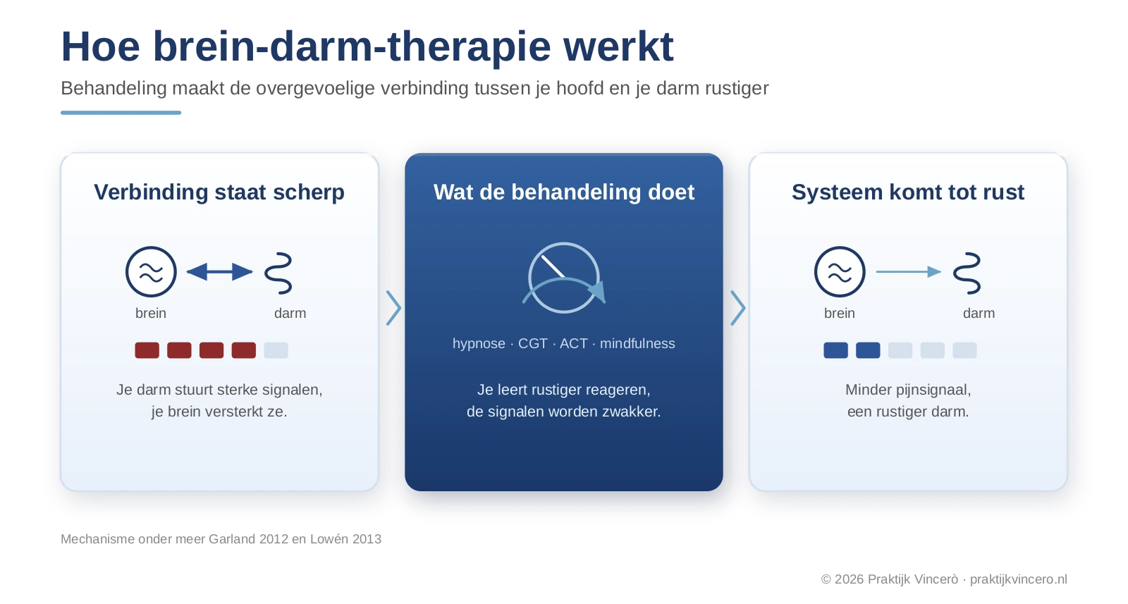 Schema van de brein-darm-as, hoe psychologische behandeling de overgevoelige verbinding tussen brein en darm rustiger maakt