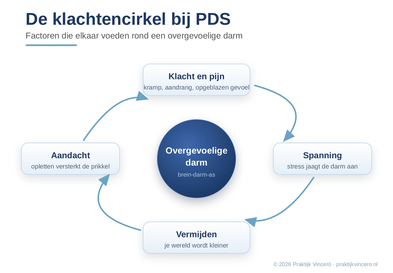 Schema van de instandhoudende cirkel bij PDS, met aandacht, spanning, vermijding en klachten die elkaar versterken rond een overgevoelige darm.