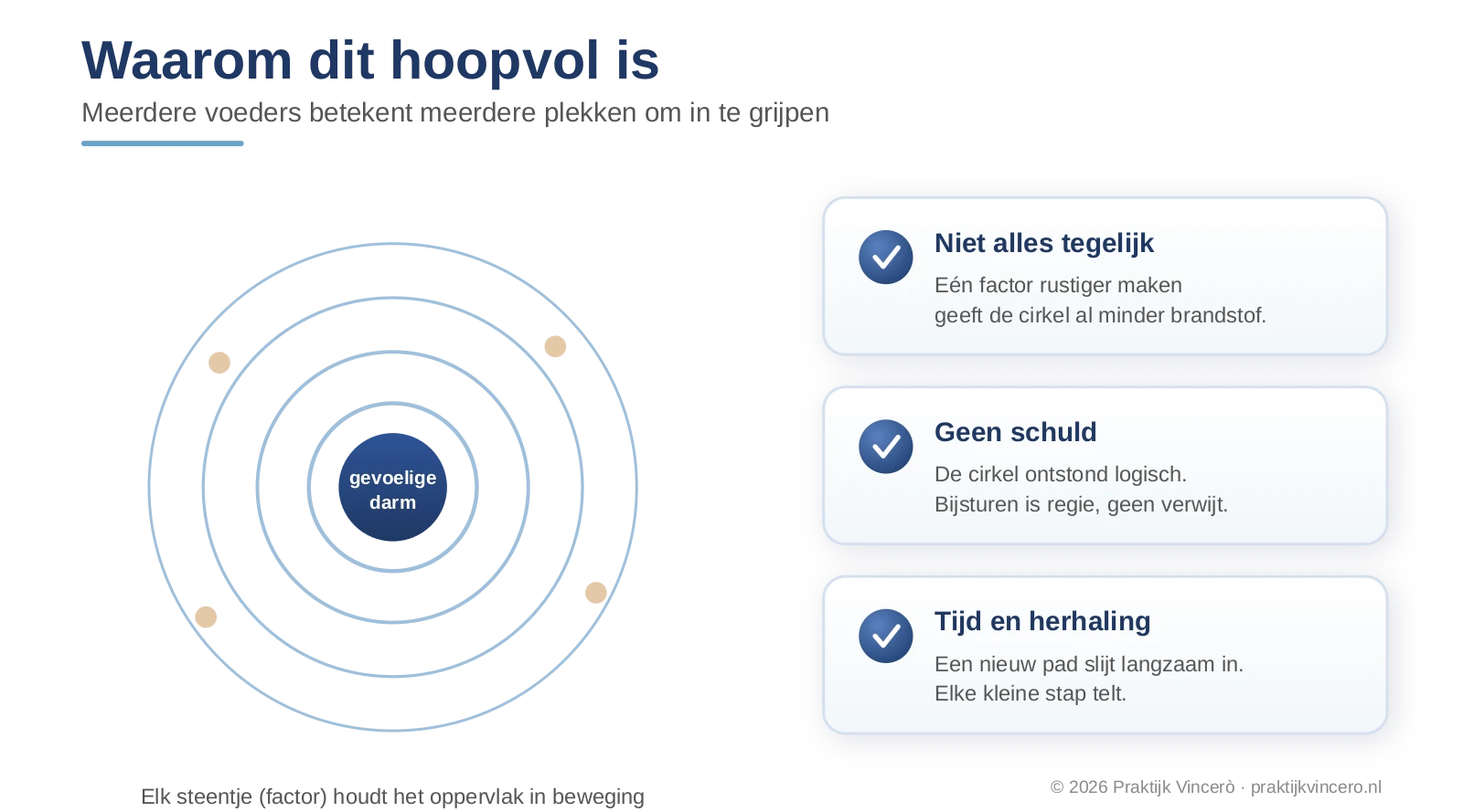 De overgevoelige darm als steen in het water, met de instandhoudende factoren als steentjes die het oppervlak in beweging houden en het inzicht dat je elke kring kunt kalmeren.