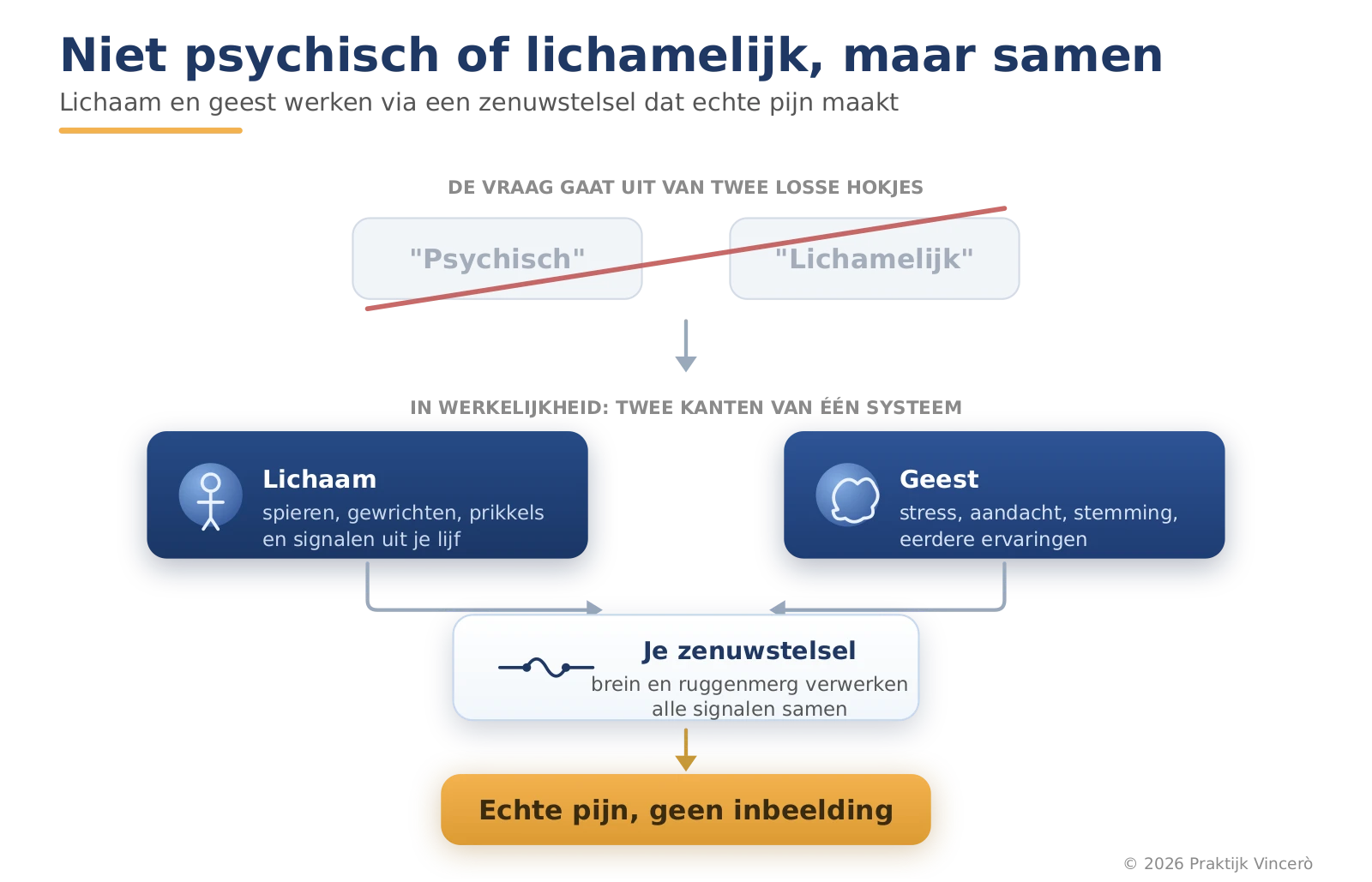 Schema dat de valse tweedeling psychisch versus lichamelijk vervangt door het juiste beeld: lichaam en geest werken samen via het zenuwstelsel, dat echte pijn maakt.