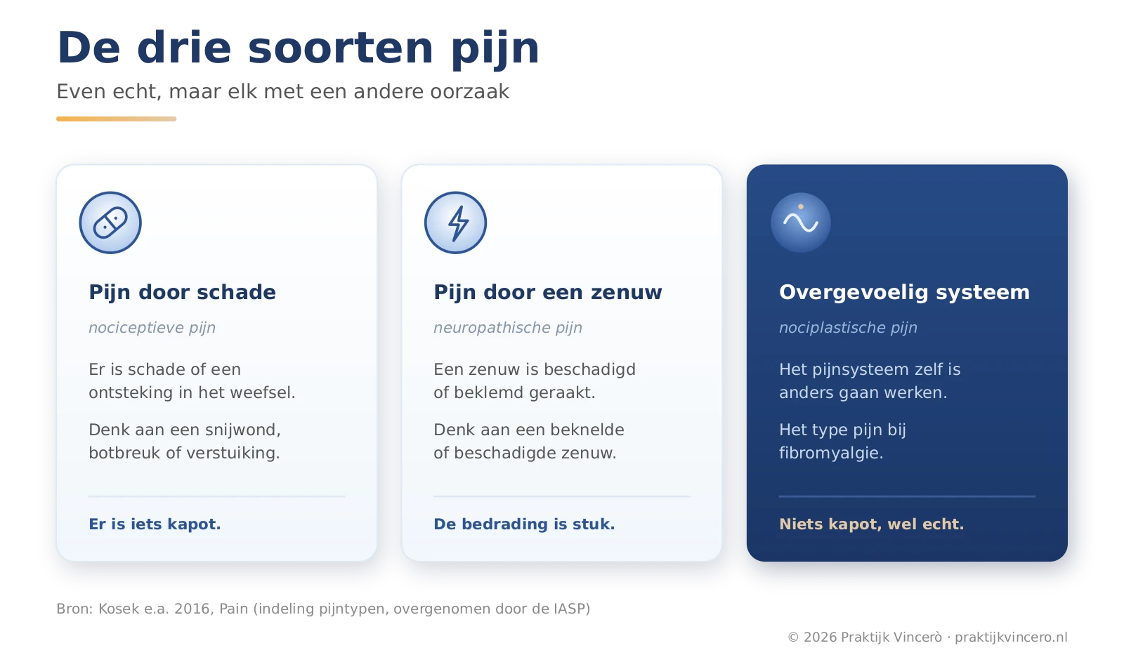 De drie soorten pijn naast elkaar: pijn door schade, pijn door een beschadigde zenuw en pijn door een overgevoelig pijnsysteem.