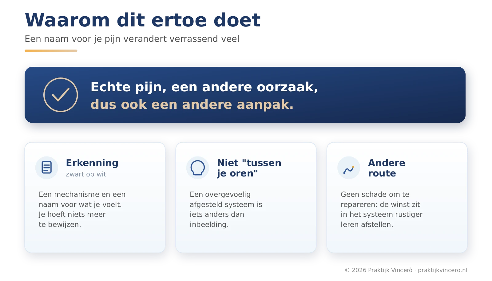 Tot 2016 waren er twee erkende soorten pijn; sindsdien is nociplastische pijn als derde erkend, met fibromyalgie als voorbeeld.