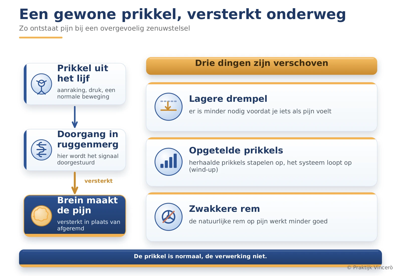 Schema van centrale sensitisatie: gewone prikkels uit het lichaam gaan via het ruggenmerg naar de hersenen en worden bij een overgevoelig zenuwstelsel versterkt in plaats van afgeremd, met de drie kanten lagere drempel, opgetelde prikkels en zwakkere rem.