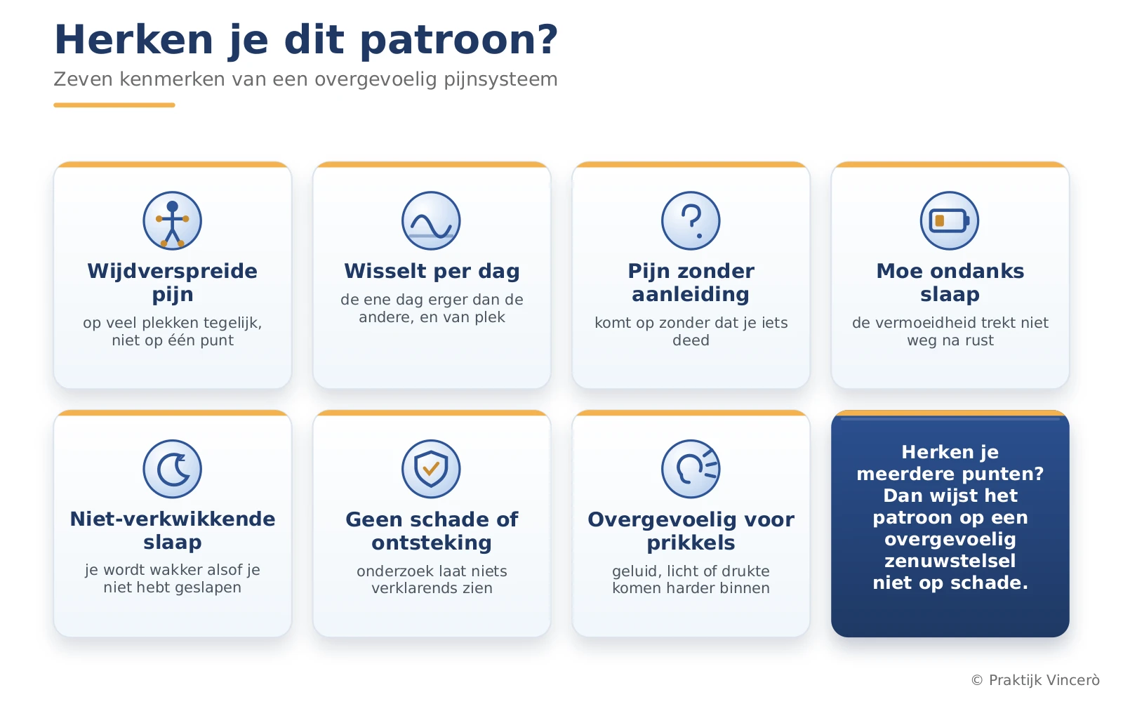 Overzichtskaart met zeven kenmerken van een overgevoelig pijnsysteem, elk met een icoon: wijdverspreide pijn, wisselend per dag, pijn zonder aanleiding, moeheid ondanks slaap, niet-verkwikkende slaap, geen schade of ontsteking, en overgevoeligheid voor prikkels.