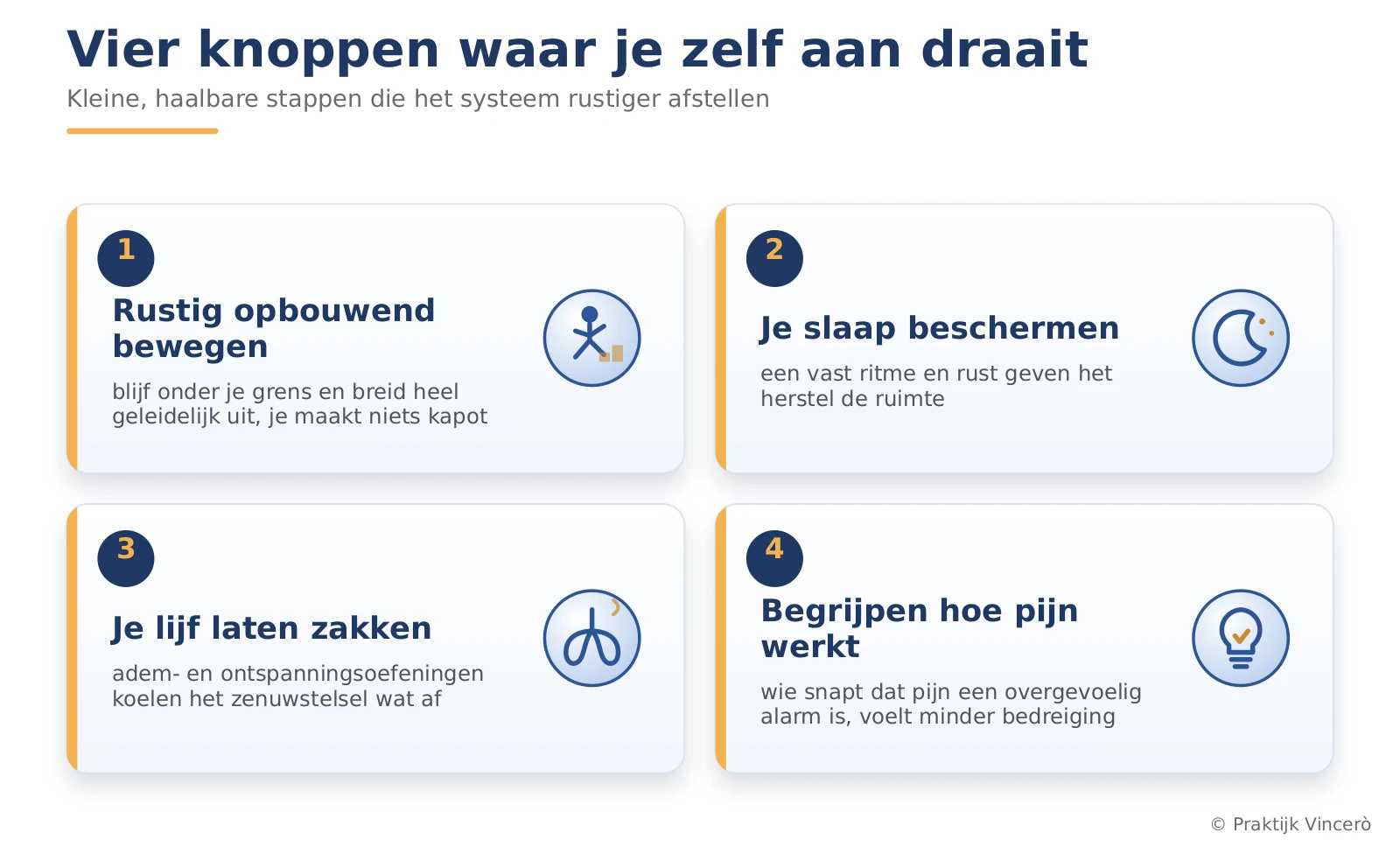 Overzicht van vier knoppen waar je zelf aan kunt draaien bij een overgevoelig pijnsysteem, elk in een eigen vak met icoon: rustig opbouwend bewegen, je slaap beschermen, je lijf de kans geven om te zakken, en begrijpen hoe pijn werkt.