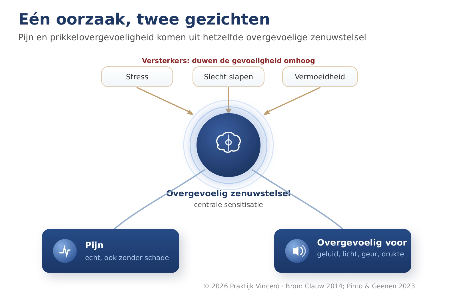 Een schema dat laat zien hoe een overgevoelig zenuwstelsel zowel pijn als overgevoeligheid voor geluid, licht, geur en drukte voortbrengt, met stress, slaaptekort en vermoeidheid als versterkers.