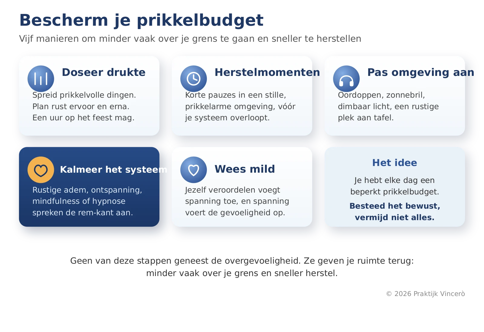 Een infographic met vijf praktische manieren om de prikkelbelasting te verlagen: drukte doseren, herstelmomenten inbouwen, de omgeving aanpassen, het zenuwstelsel kalmeren en mild zijn voor jezelf.
