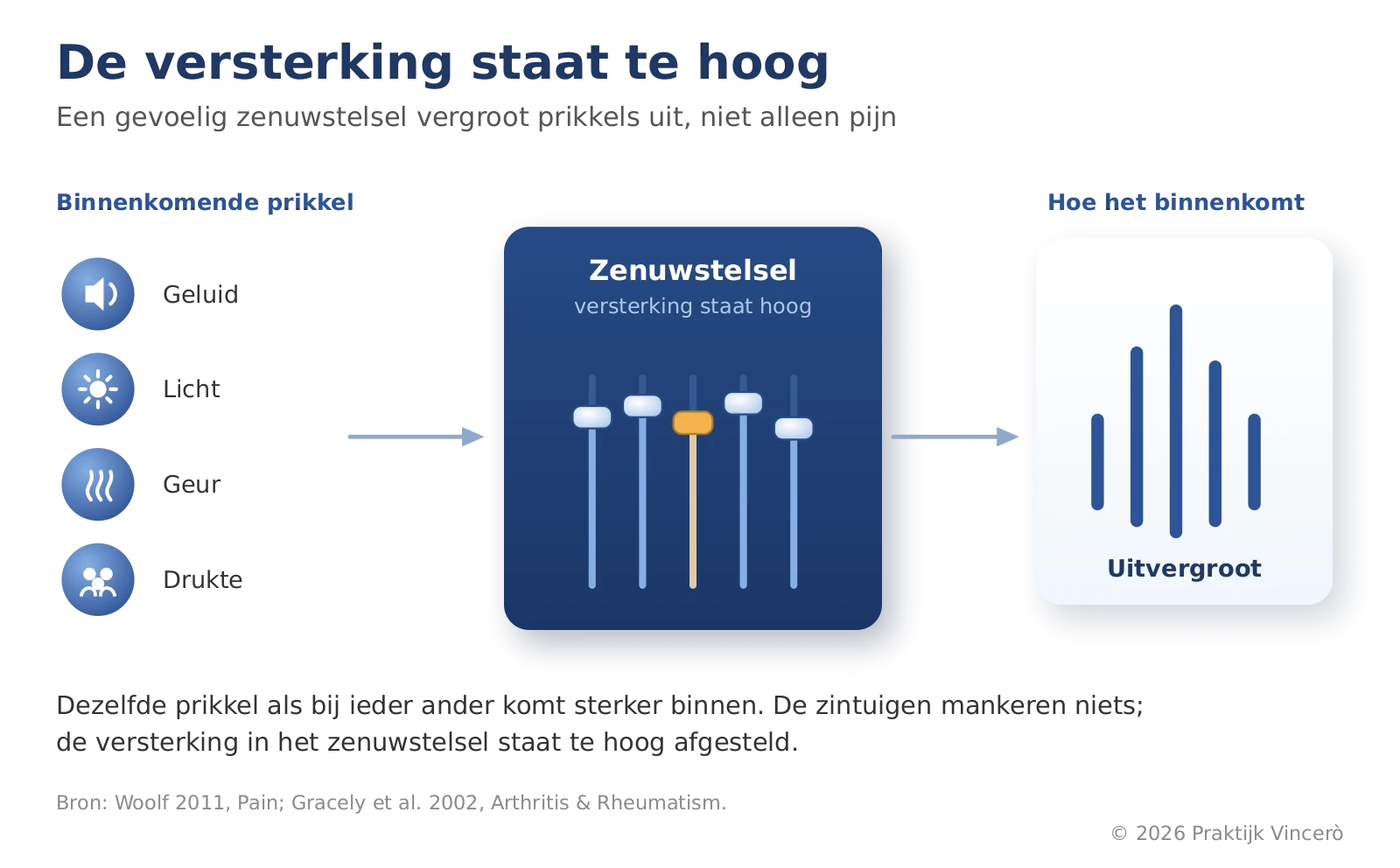 Een illustratie van een zenuwstelsel met een versterking die te hoog staat, waardoor prikkels van geluid, licht, geur en drukte uitvergroot worden.