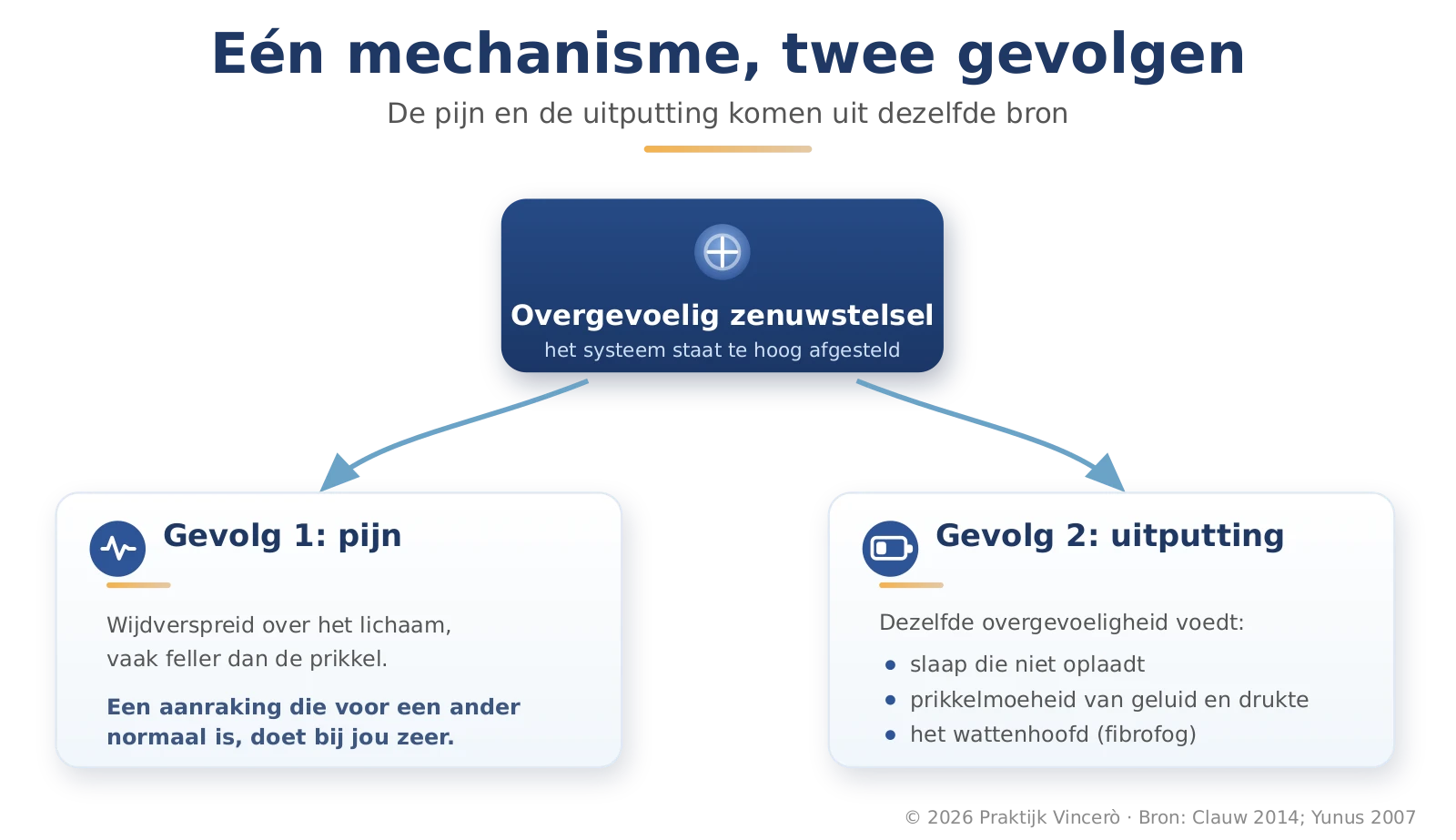 Infographic met de titel Een mechanisme, twee gevolgen. Een overgevoelig zenuwstelsel dat te hoog staat afgesteld, met twee pijlen naar gevolg 1 (pijn, wijdverspreid over het lichaam) en gevolg 2 (uitputting, met slaap die niet oplaadt, prikkelmoeheid en het wattenhoofd).