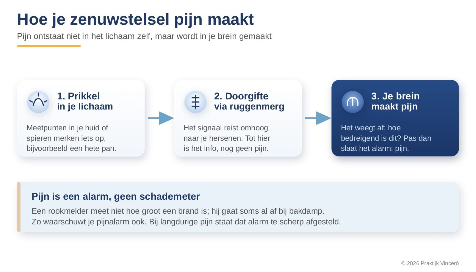 Schema dat laat zien hoe een prikkel via meetpunten in het lichaam en het ruggenmerg naar het brein gaat, waar pas pijn wordt gemaakt na een afweging of er gevaar is.