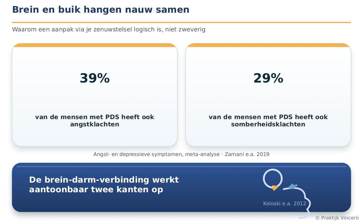 Kaart met kerncijfers over stress, angst en PDS: angst- en somberheidsklachten komen vaker voor bij mensen met PDS en de brein-darm-verbinding werkt aantoonbaar twee kanten op. Bronvermelding klein in beeld. Navy-basis met gouden accent.