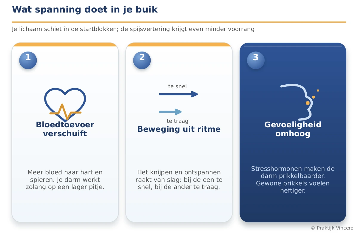 Drie effecten van spanning op de buik, naast elkaar in aparte kaarten: bloedtoevoer verschuift naar hart en spieren (darm op een lager pitje), de darmbeweging raakt uit ritme (te snel of te traag) en de gevoeligheid gaat omhoog. Navy-basis met een warm gouden accent.