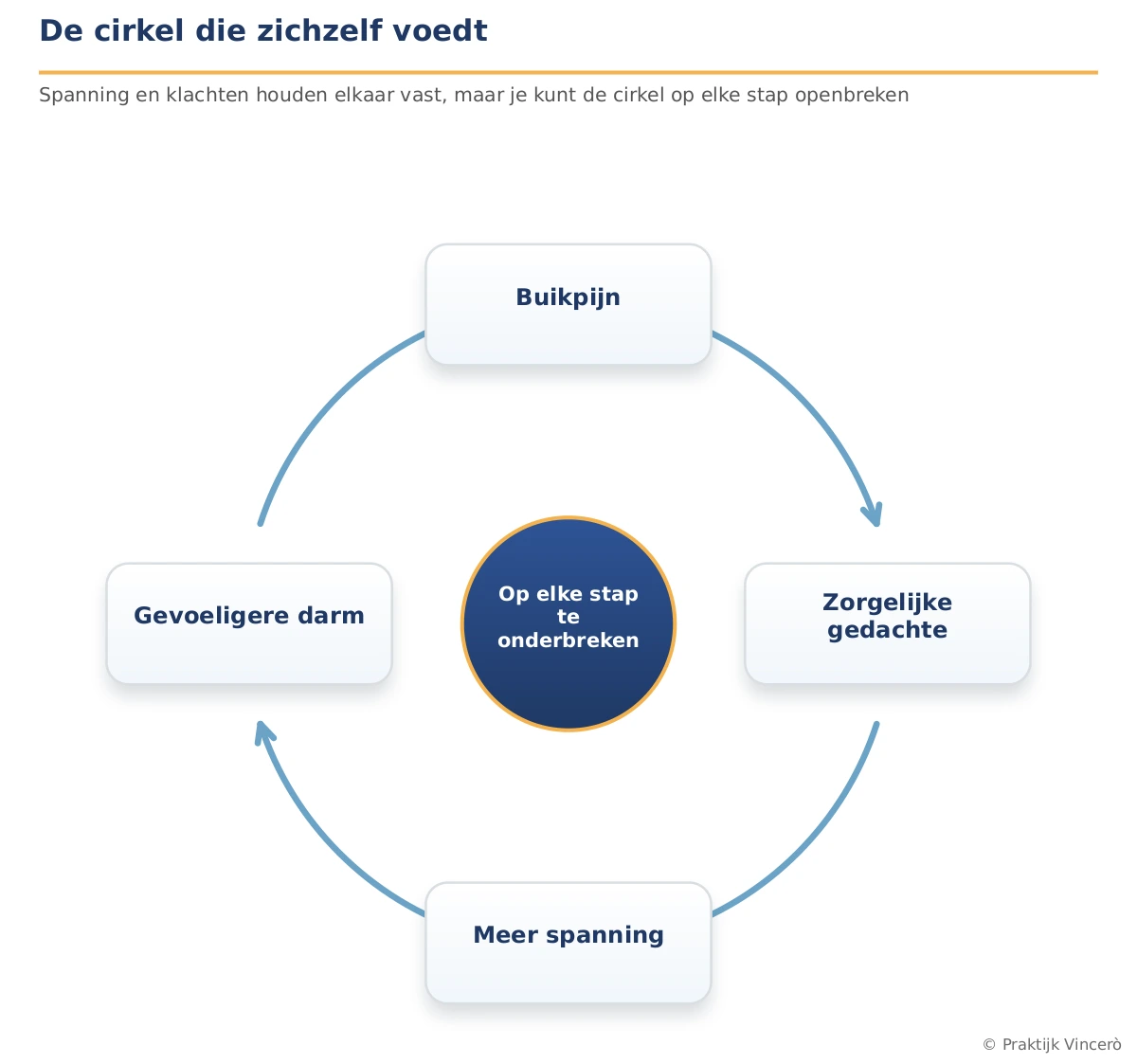 Een ronde kringloop met vier stappen die naar elkaar wijzen: buikpijn, zorgelijke gedachte, meer spanning en een gevoeligere darm, waarna de pijl teruggaat naar buikpijn. In het midden een markering die aangeeft dat je de cirkel op elke stap kunt onderbreken. Navy-basis met een gouden accent op de onderbreek-plek.