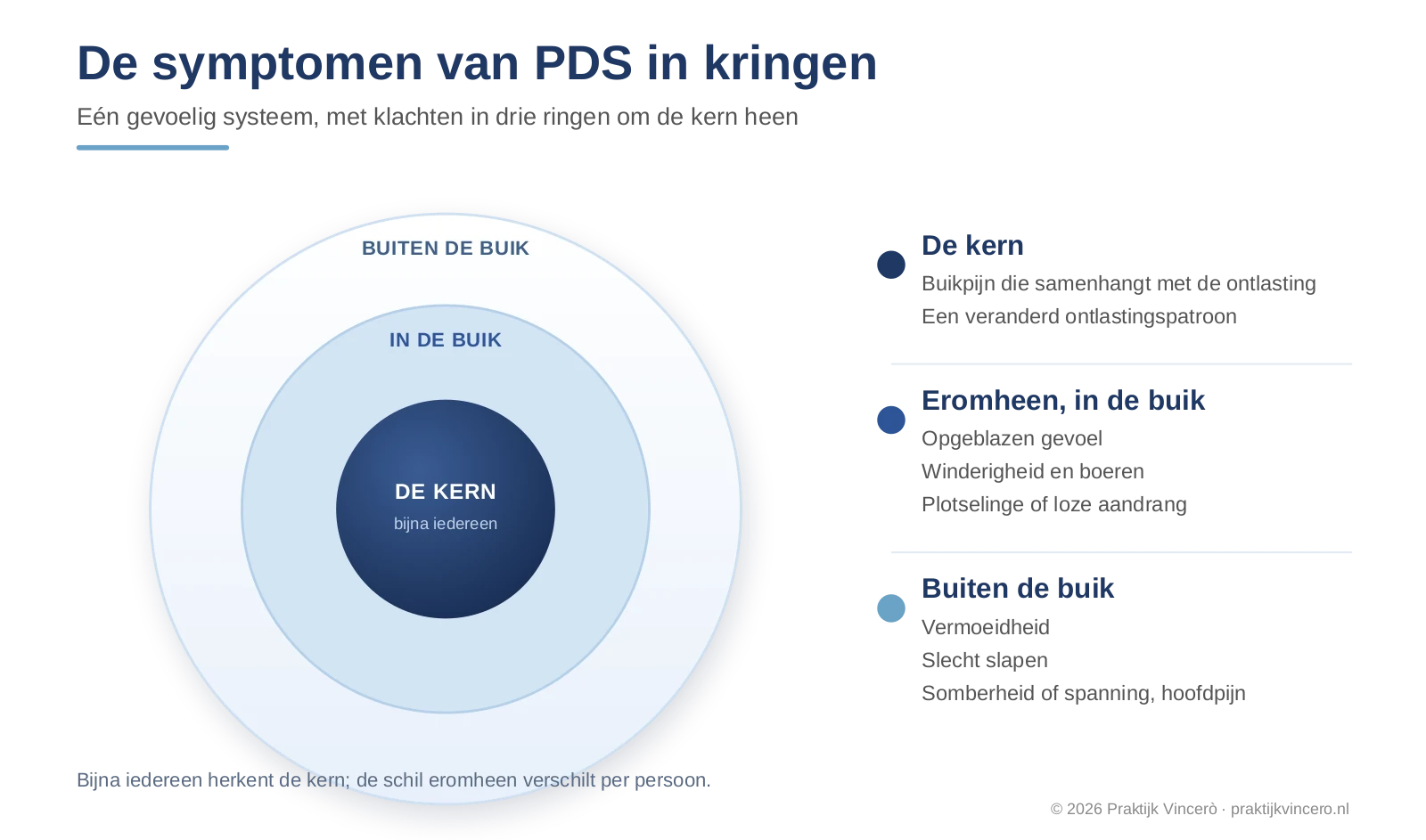 Schema waarin één overgevoelig zenuwstelsel in het midden via lijnen leidt tot zes klachten: wijdverspreide pijn, vermoeidheid, slaap die weinig oplaadt, fibrofog, prikkelgevoeligheid en stijfheid