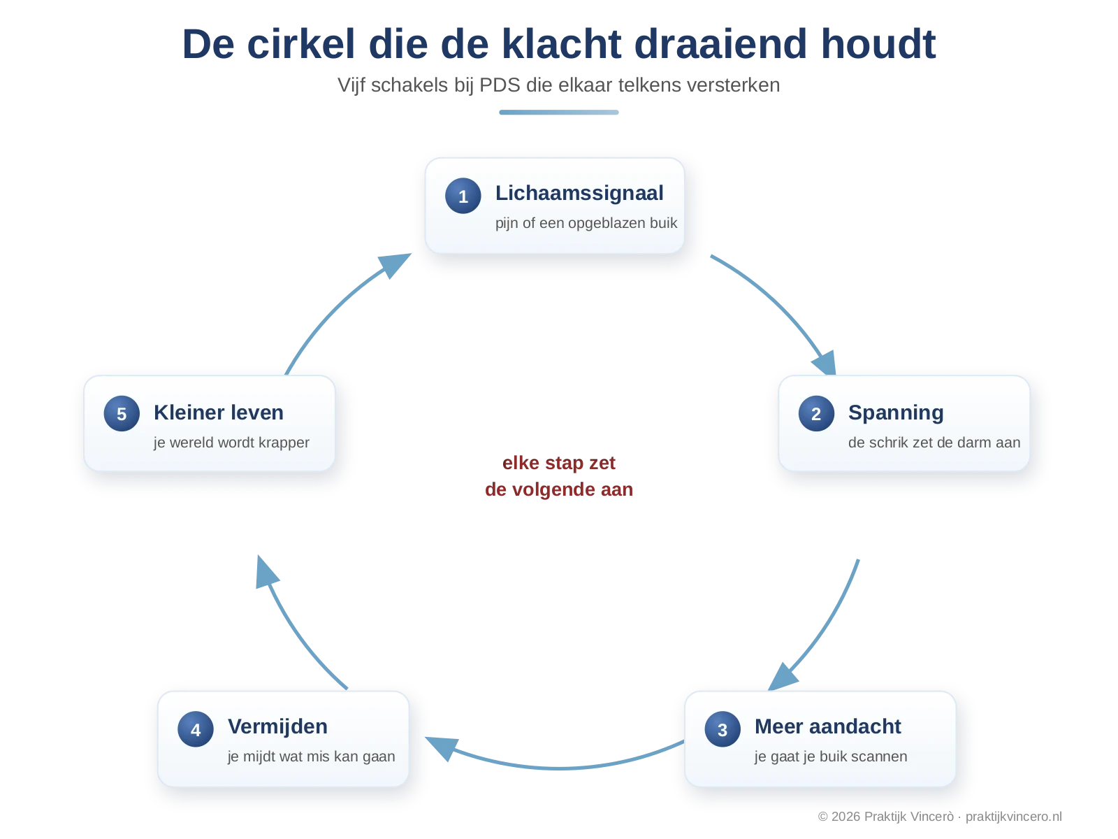 Schematische cirkel met vijf verbonden stappen bij PDS, lichaamssignaal of pijn, spanning, meer aandacht voor de buik, vermijden van situaties en een kleiner leven, die elkaar in een ronde versterken.