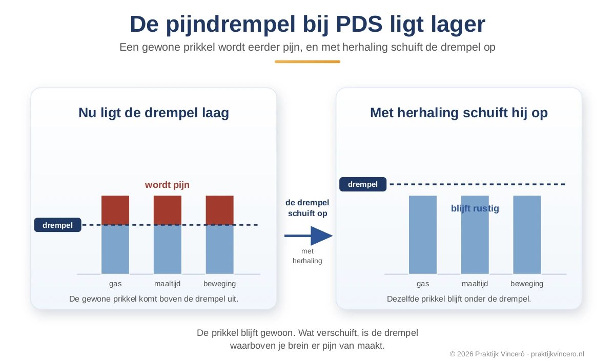Twee schema's naast elkaar van de pijndrempel bij PDS, links een lage drempel waardoor gewone prikkels al pijn worden, rechts een hogere drempel waardoor dezelfde prikkels rustig aanvoelen, met een pijl die laat zien dat de drempel met herhaling van rustige ervaringen opschuift.