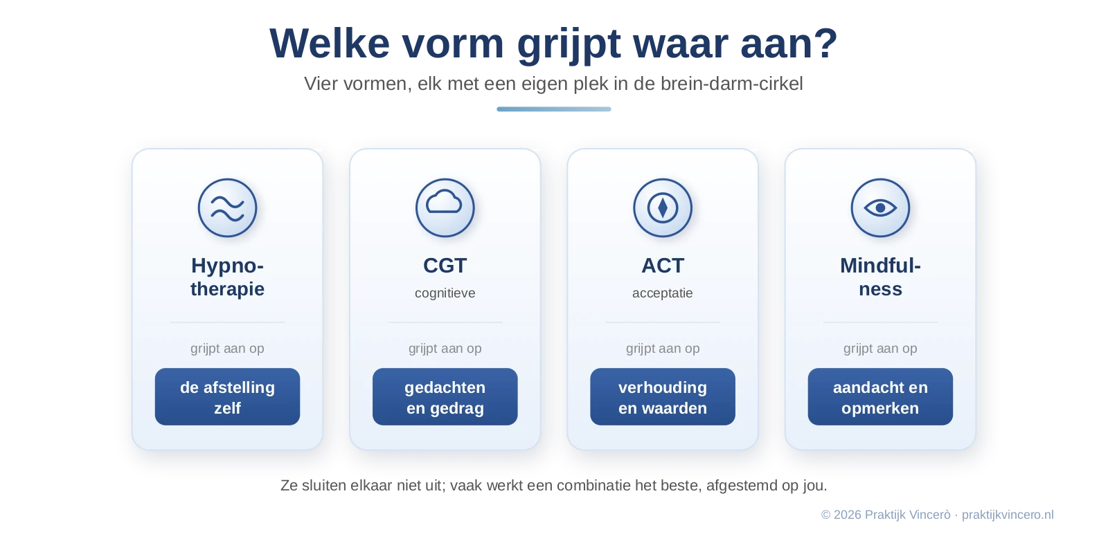 Overzicht met vier behandelvormen bij PDS als kaarten, hypnotherapie, cognitieve gedragstherapie, ACT en mindfulness, elk met het aangrijpingspunt in het brein-darm-systeem.