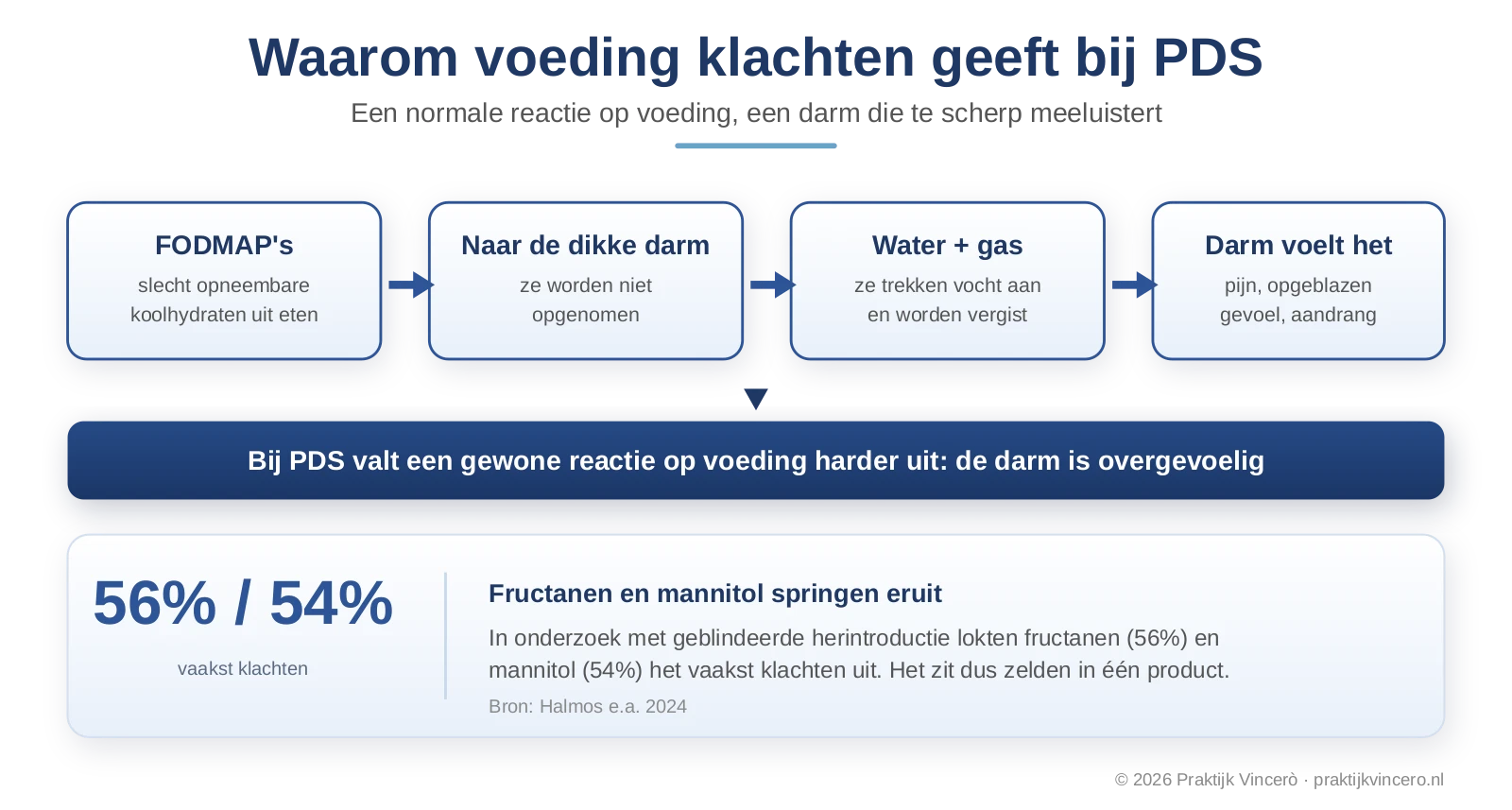 Schema van waarom voeding klachten geeft bij PDS: slecht opneembare FODMAP-koolhydraten trekken water aan en worden vergist tot gas, wat bij een gevoelige darm pijn, een opgeblazen gevoel en een veranderde stoelgang geeft.