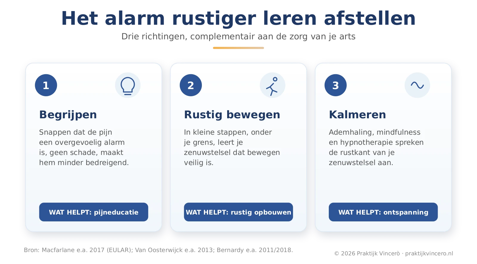 Drie richtingen die het pijnalarm rustiger kunnen maken: begrijpen wat er speelt, rustig in beweging blijven en het zenuwstelsel kalmeren, elk complementair aan de reguliere zorg.
