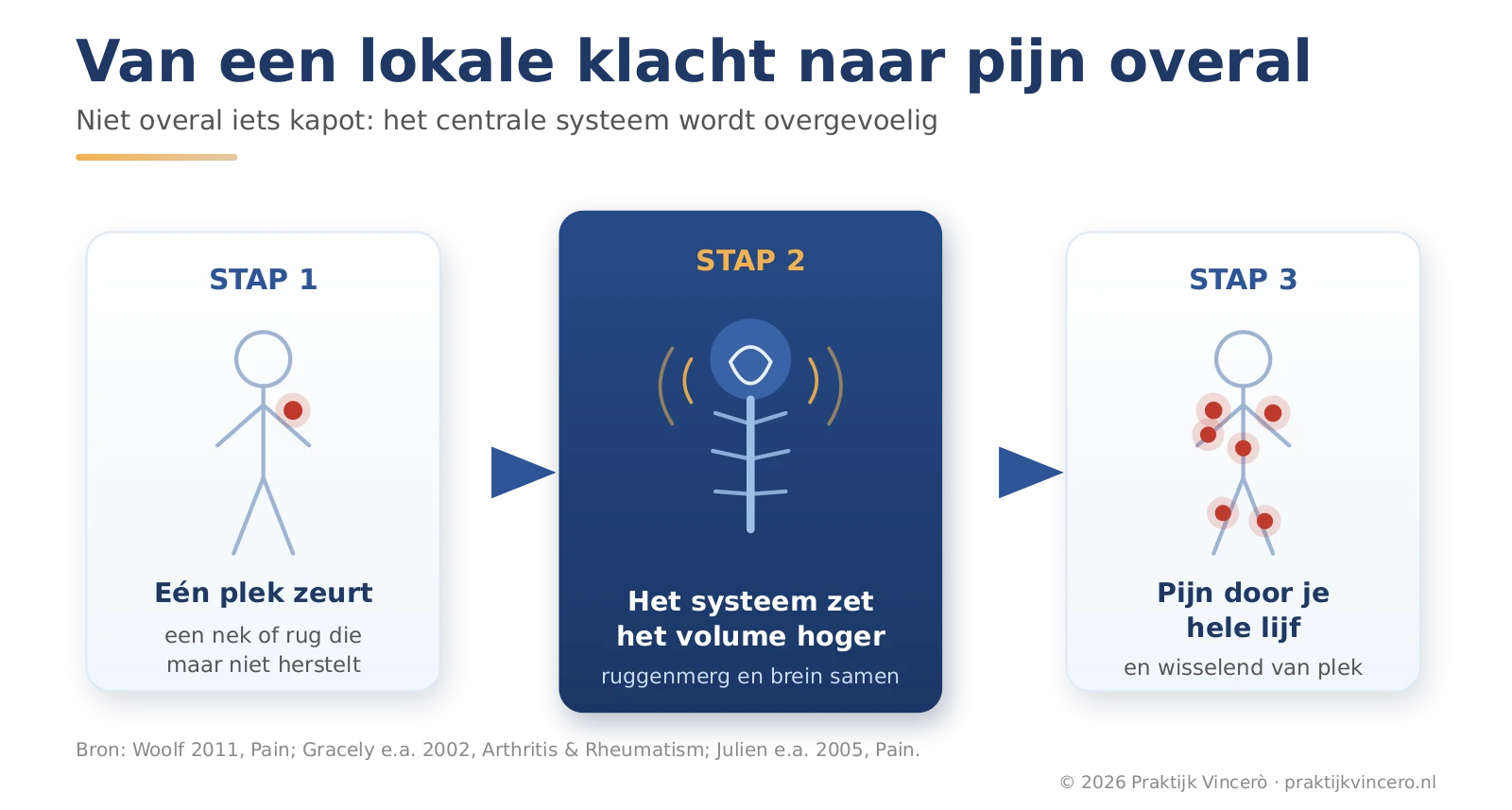 Schema in drie stappen: een lokale klacht op één plek, dan een overgevoelig centraal systeem (ruggenmerg en brein) dat alle signalen versterkt en ten slotte pijn verspreid over het hele lichaam.