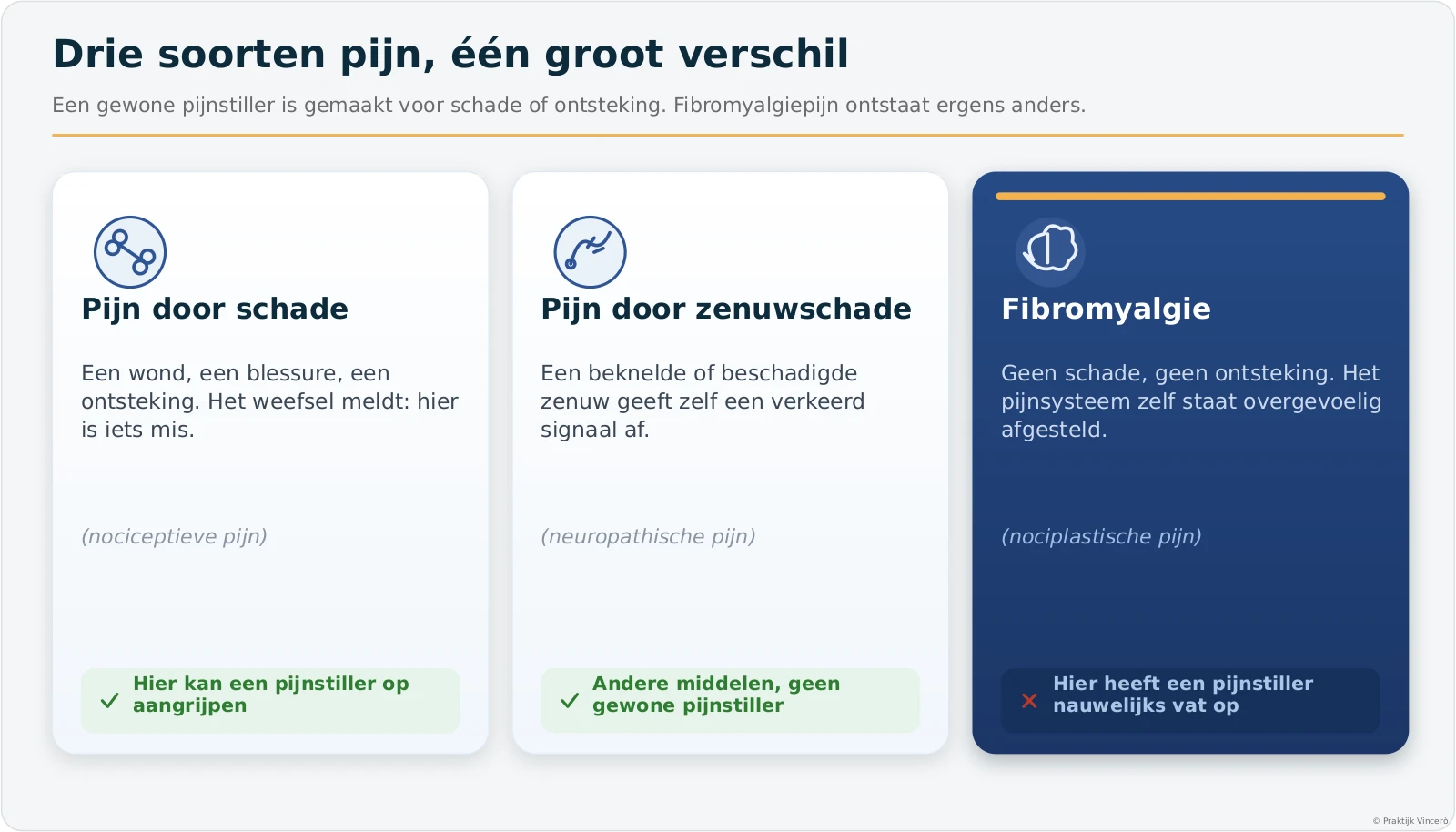 Schema met drie soorten pijn naast elkaar: pijn door schade en pijn door een beschadigde zenuw, waar een gewone pijnstiller op kan aangrijpen en nociplastische pijn bij fibromyalgie, die ontstaat in een overgevoelig pijnsysteem zonder schade en waar een pijnstiller nauwelijks vat op heeft.