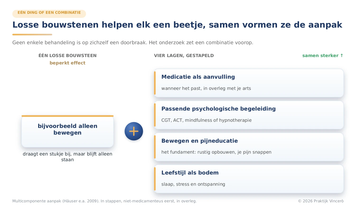 Een losse bouwsteen versus vier gestapelde lagen (leefstijl, bewegen en pijneducatie, psychologische begeleiding, medicatie als aanvulling) die samen een sterker geheel vormen