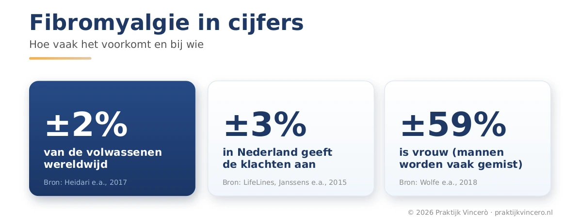 Fibromyalgie in drie getallen: ongeveer 2 procent van de volwassenen wereldwijd, ongeveer 3 procent in Nederlands bevolkingsonderzoek en in een brede steekproef ongeveer 59 procent vrouw.