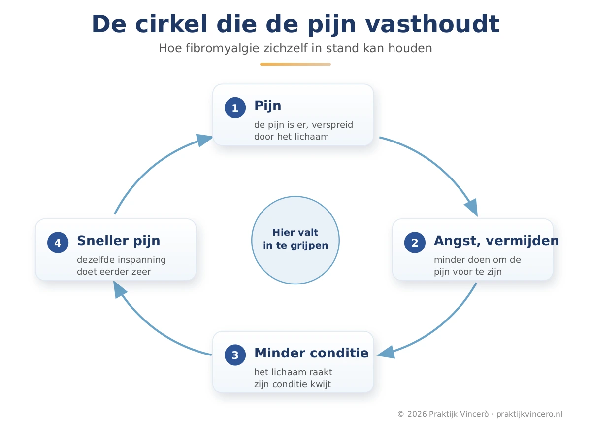 De cirkel die fibromyalgie in stand houdt: pijn geeft angst en vermijden, dat geeft conditieverlies en dat geeft weer meer pijn, met op elk punt ruimte om in te grijpen.