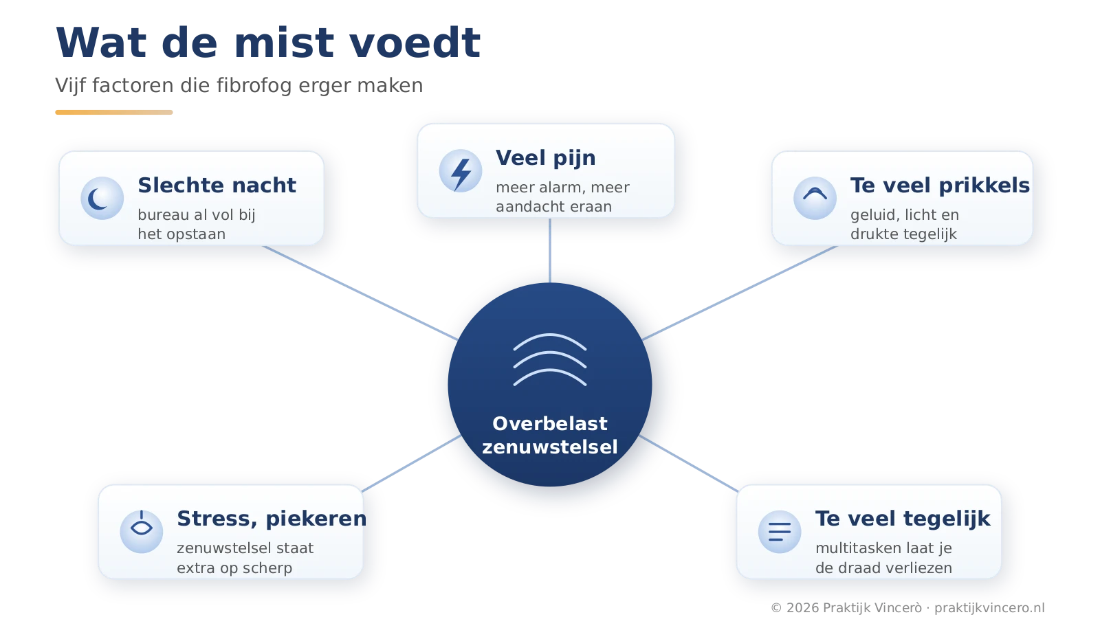 Schema met factoren die fibrofog bij fibromyalgie voeden: een slechte nacht, veel pijn, te veel prikkels, stress en te veel taken tegelijk, allemaal vanuit een overbelast zenuwstelsel.