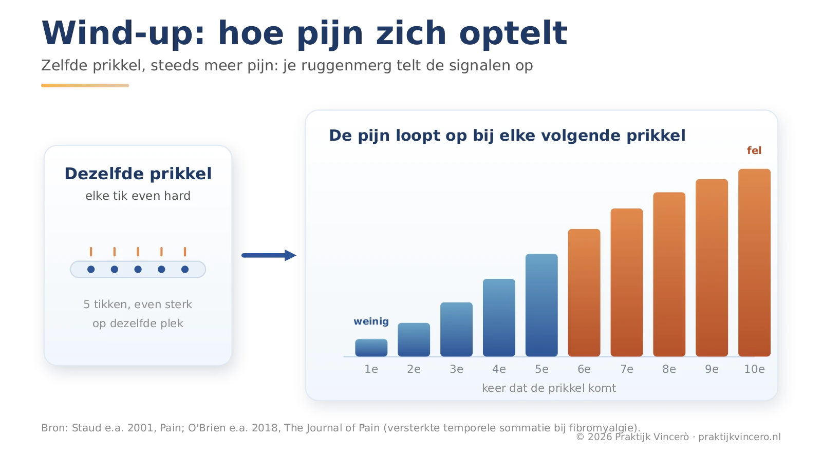 Een arm wordt herhaaldelijk op dezelfde plek aangeraakt; bij elke aanraking telt het ruggenmerg het signaal op, zodat de pijn oploopt van bijna niets naar fel.