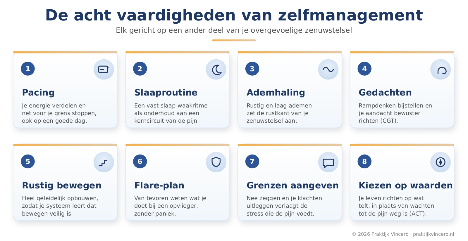 Iconenraster met de kernvaardigheden van zelfmanagement bij fibromyalgie: energie verdelen, een slaaproutine, ademhaling en ontspanning, anders omgaan met gedachten, rustig bewegen, een opvlieger-plan, grenzen aangeven en kiezen op je waarden.